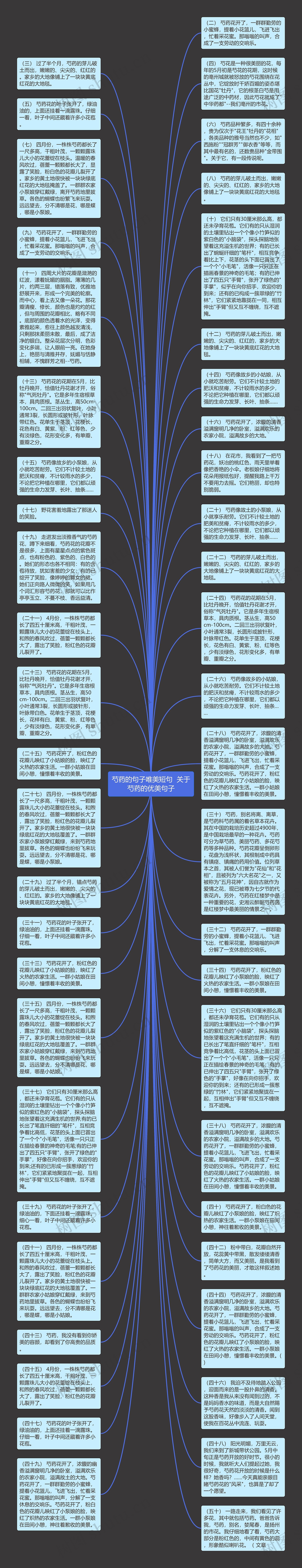 芍药的句子唯美短句  关于芍药的优美句子思维导图