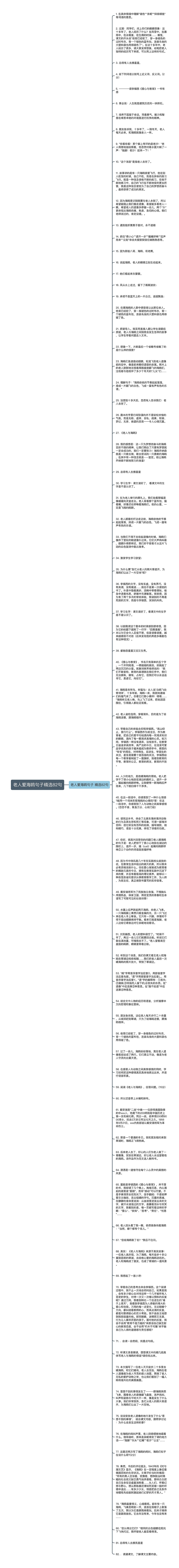 老人爱海鸥句子精选82句思维导图