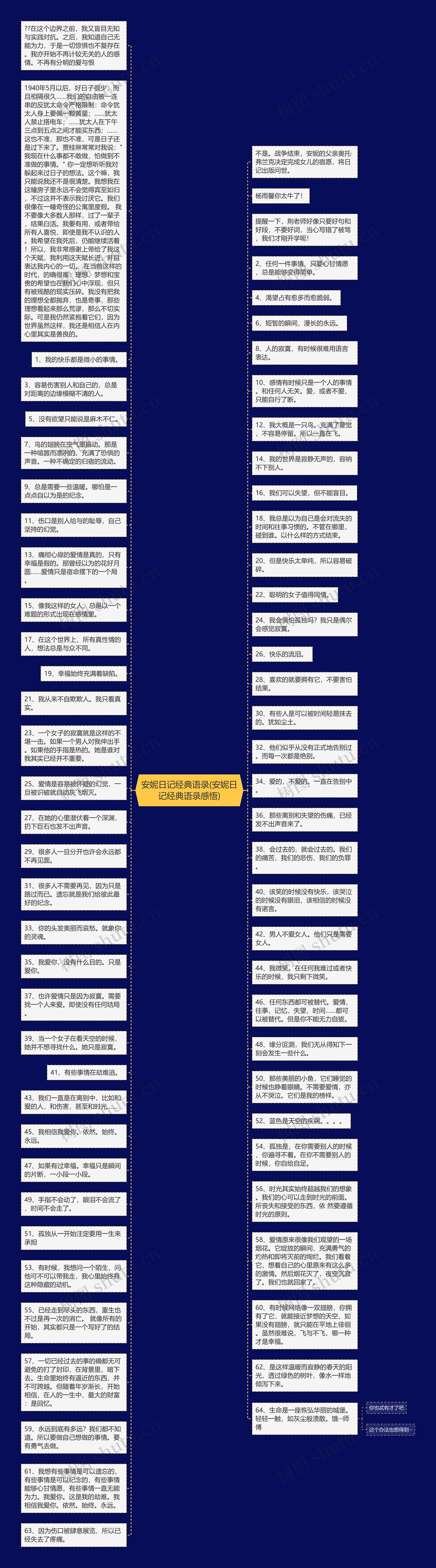 安妮日记经典语录(安妮日记经典语录感悟)思维导图