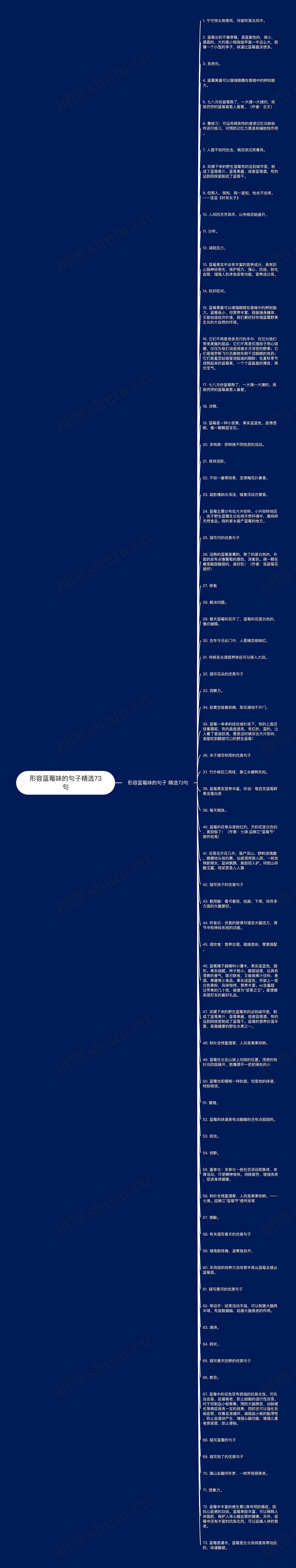 形容蓝莓味的句子精选73句思维导图