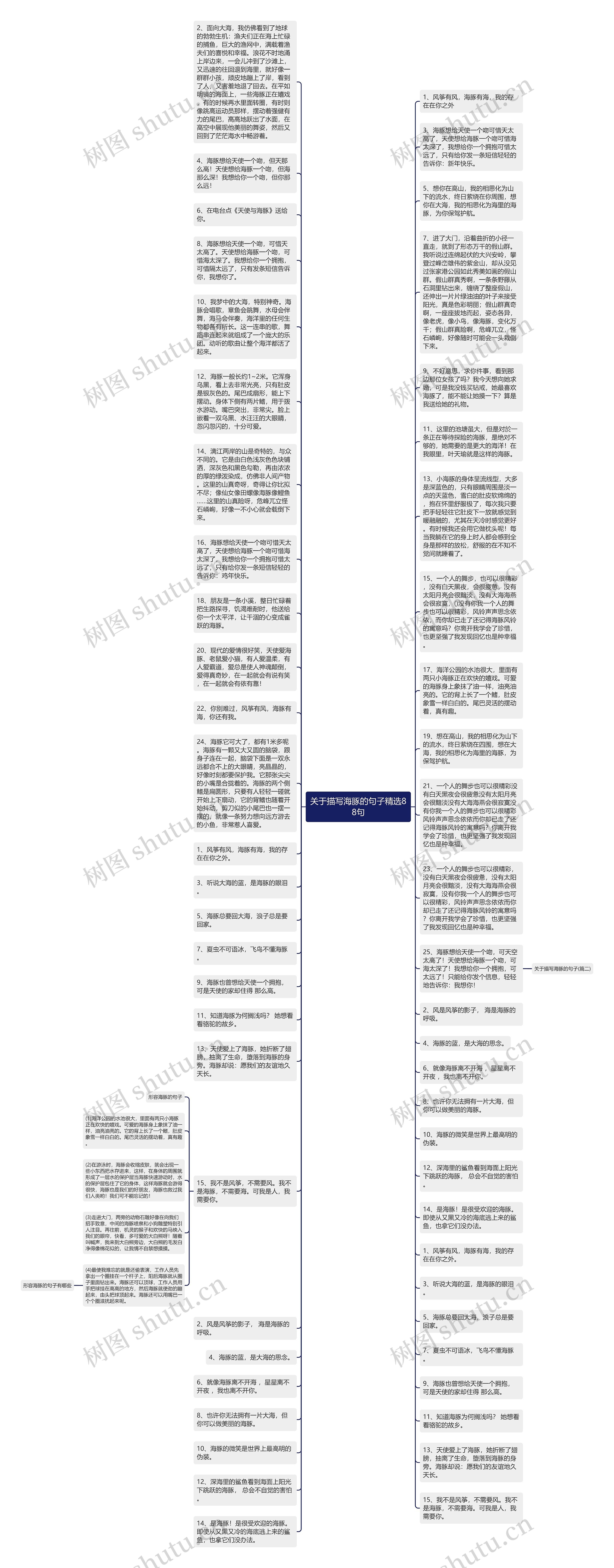 关于描写海豚的句子精选88句思维导图