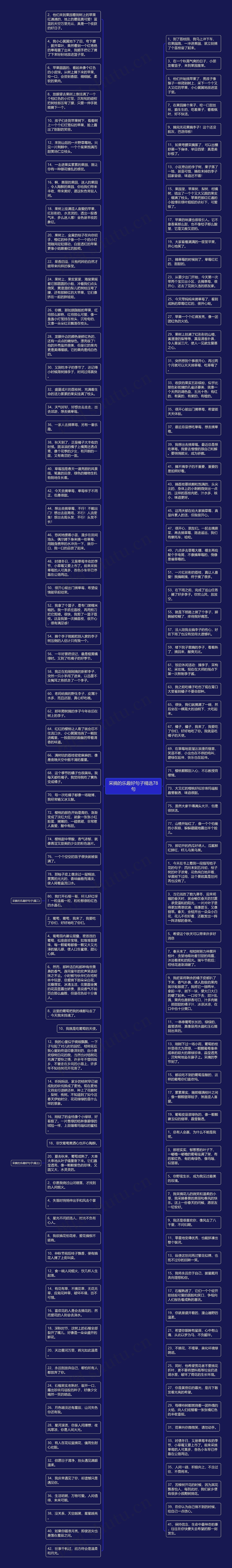 采摘的乐趣好句子精选78句思维导图