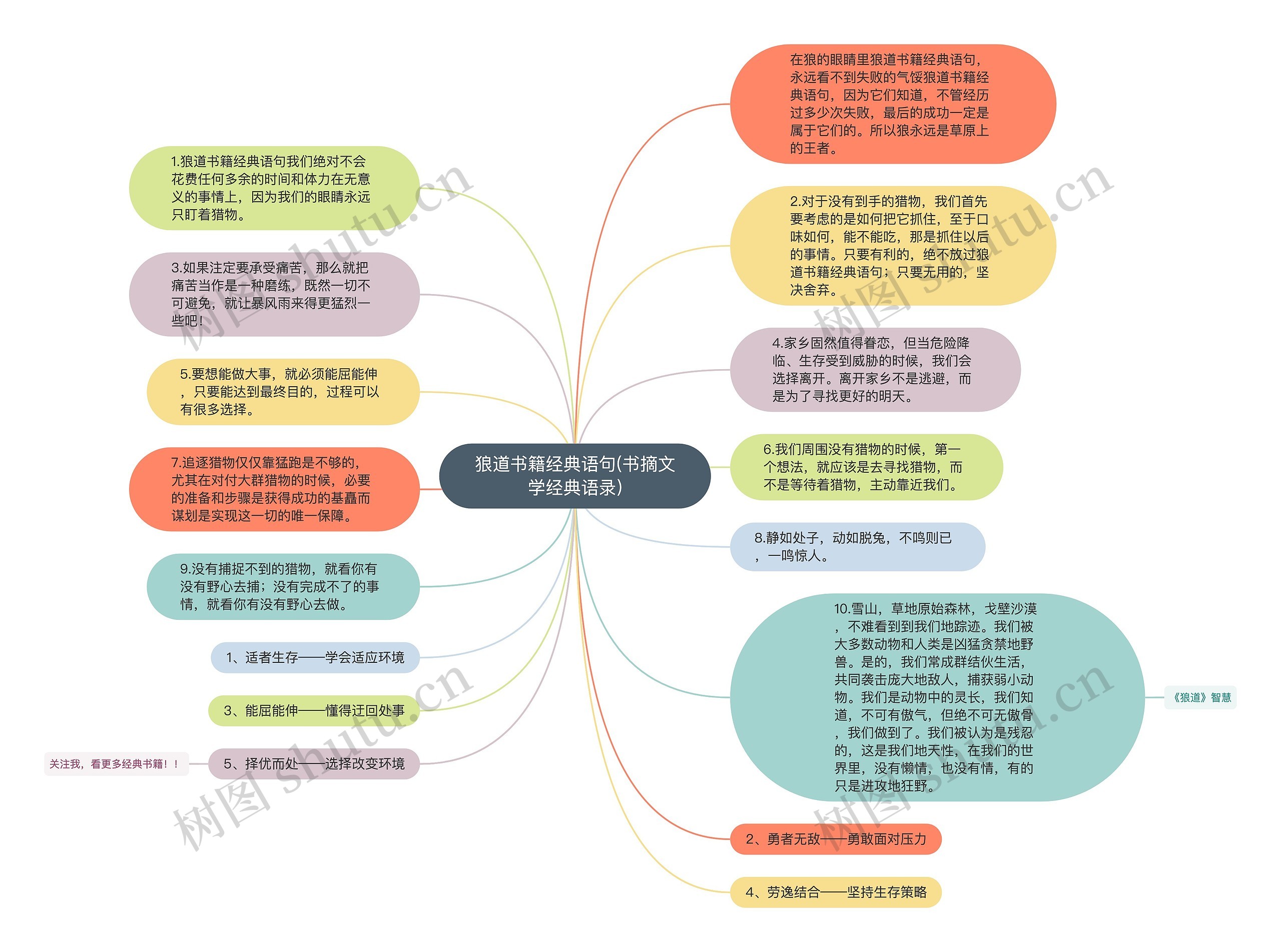 狼道书籍经典语句(书摘文学经典语录)思维导图