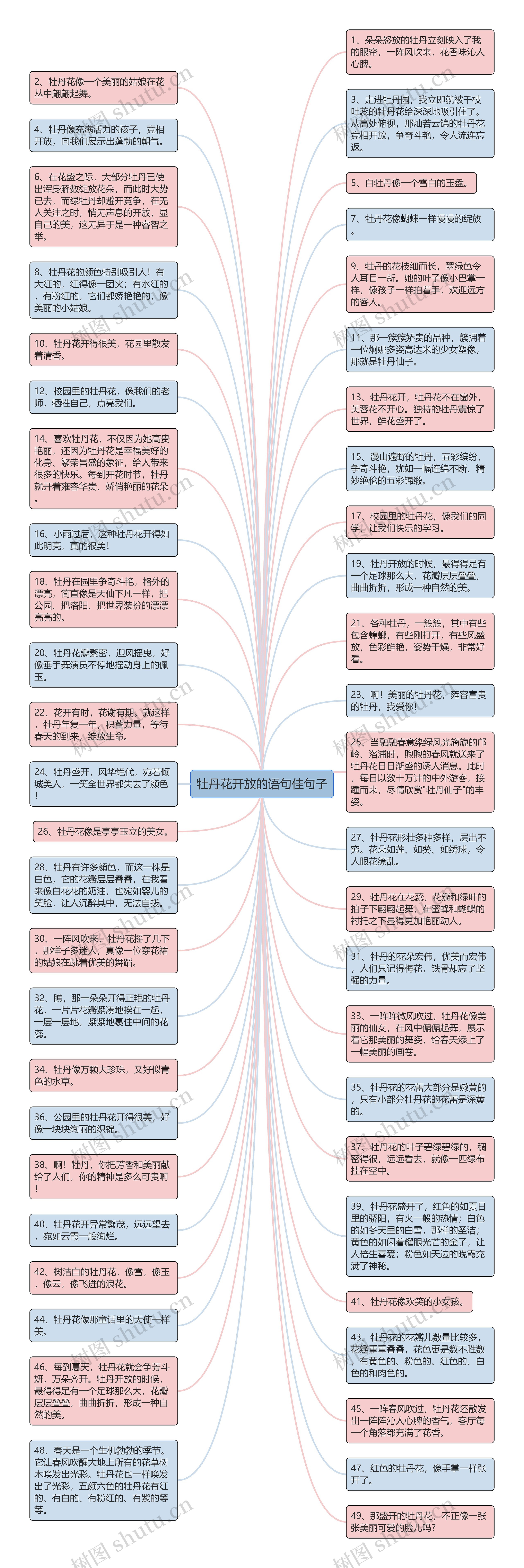 牡丹花开放的语句佳句子