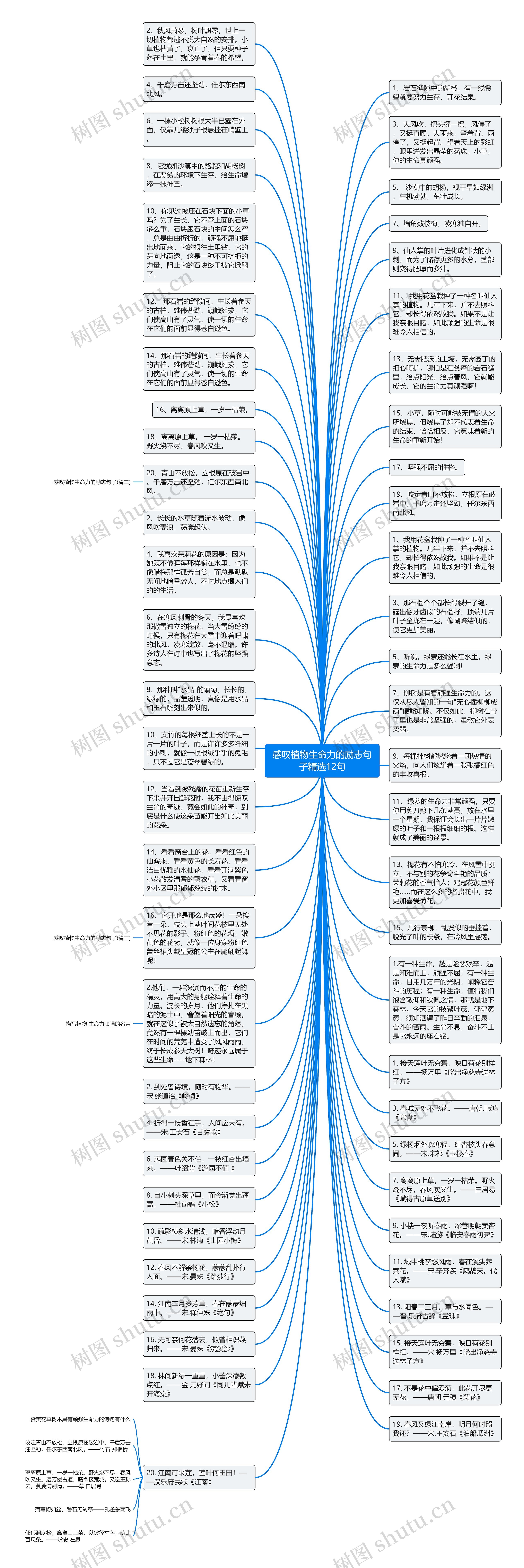 感叹植物生命力的励志句子精选12句