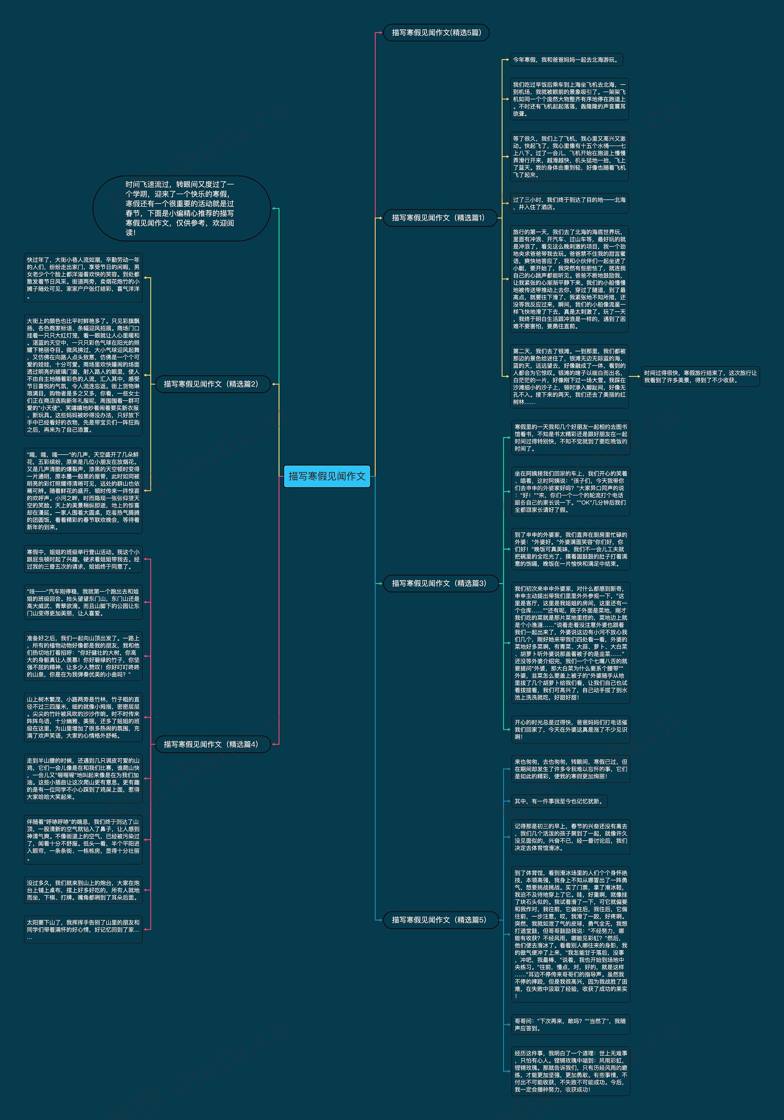 描写寒假见闻作文思维导图