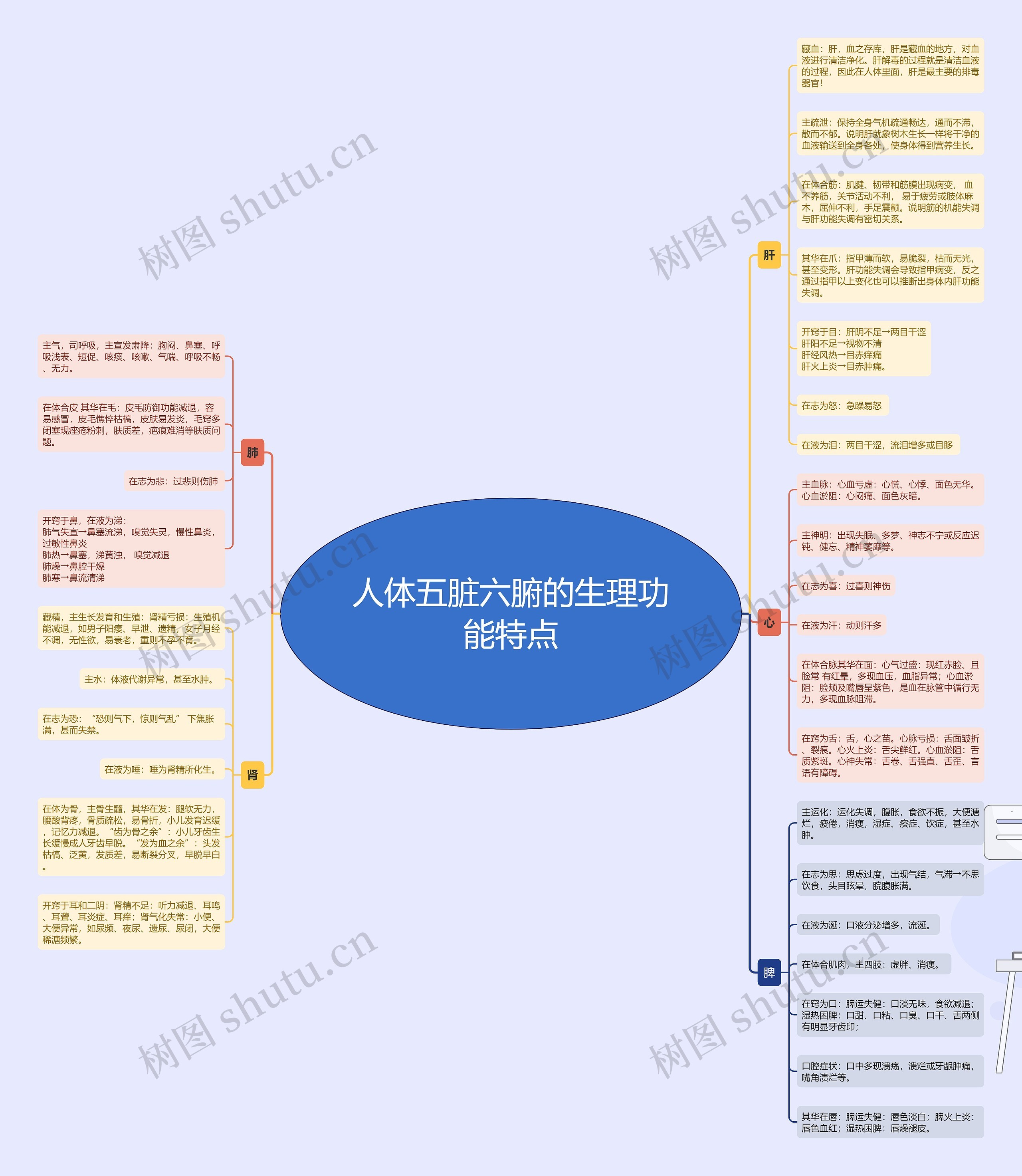 人体五脏的生理功能特点思维导图高清图 人体五脏的生理功能特点思维导图