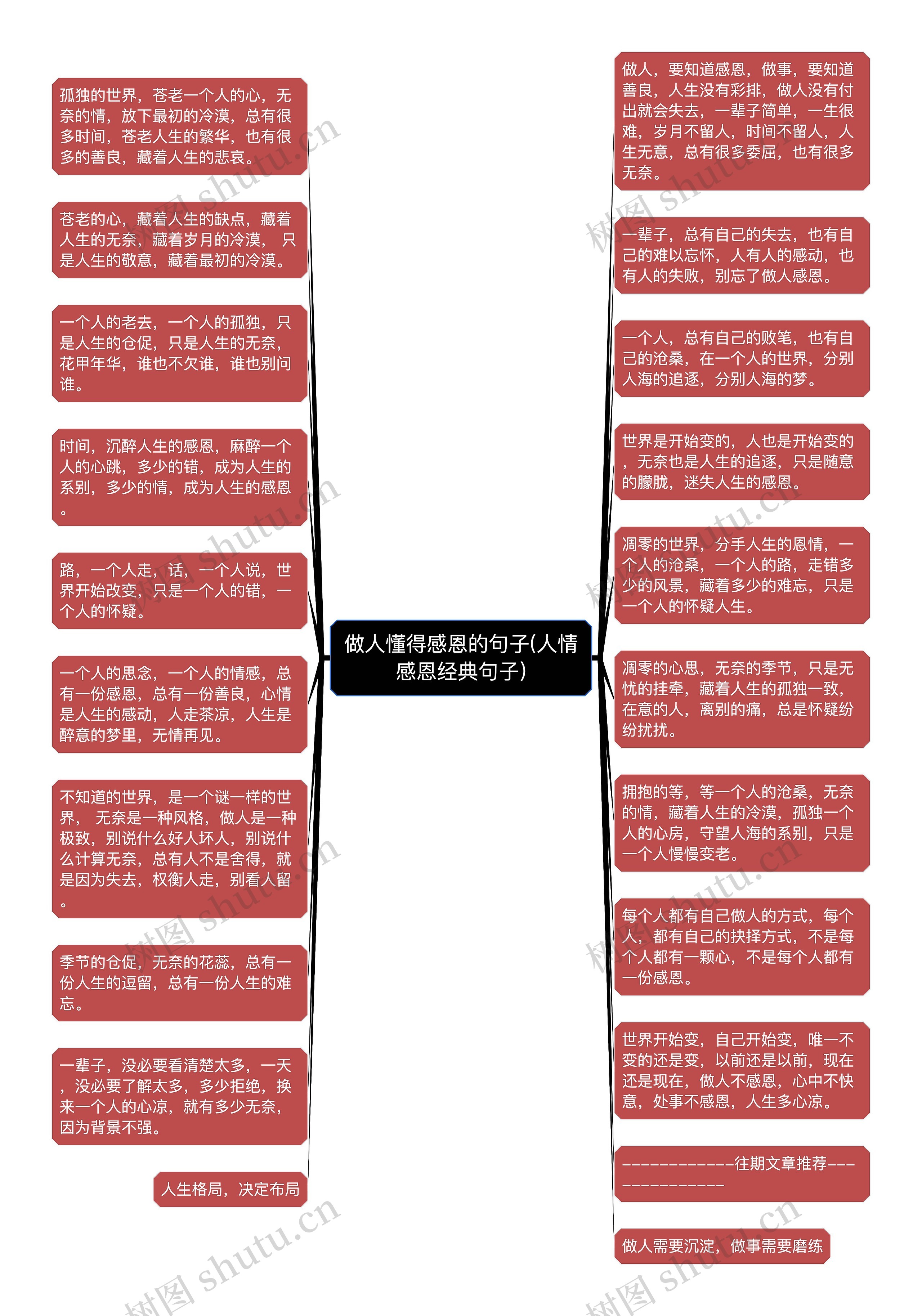 做人懂得感恩的句子(人情感恩经典句子)思维导图