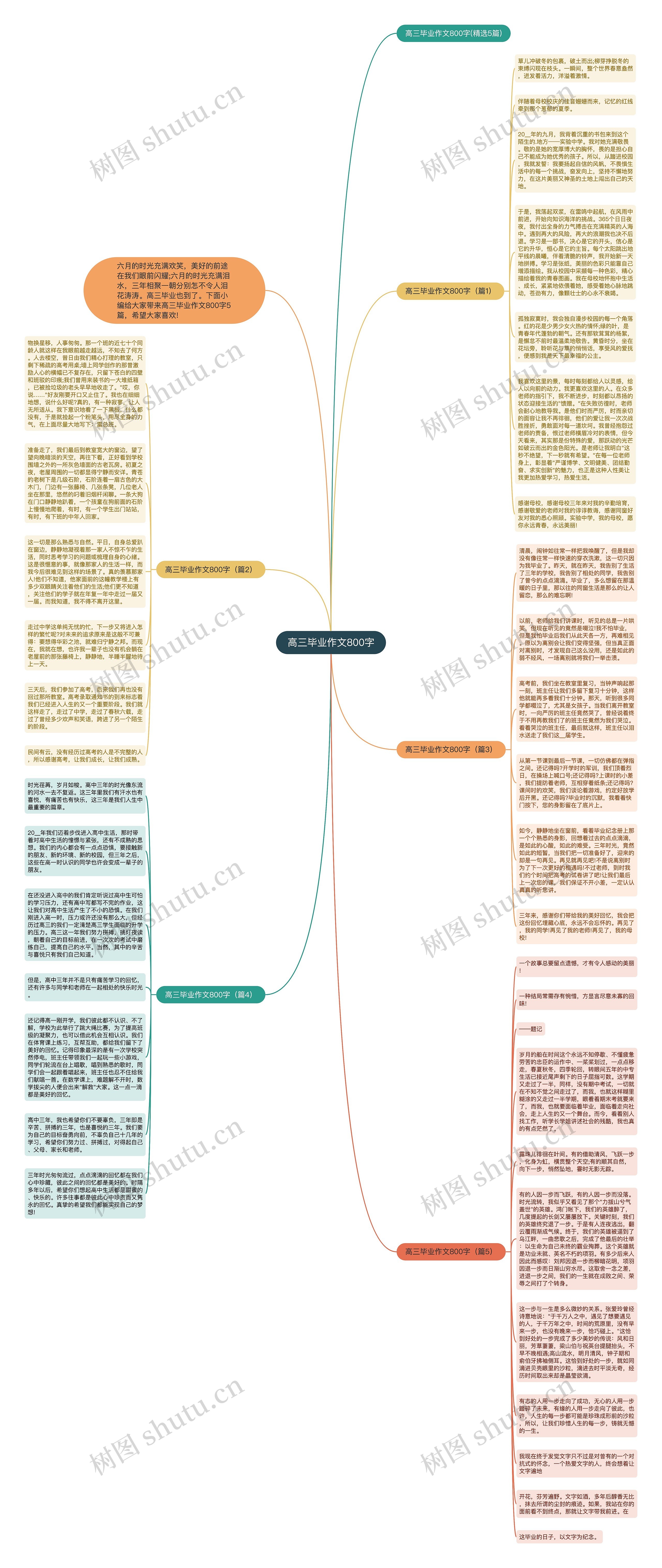 高三毕业作文800字思维导图