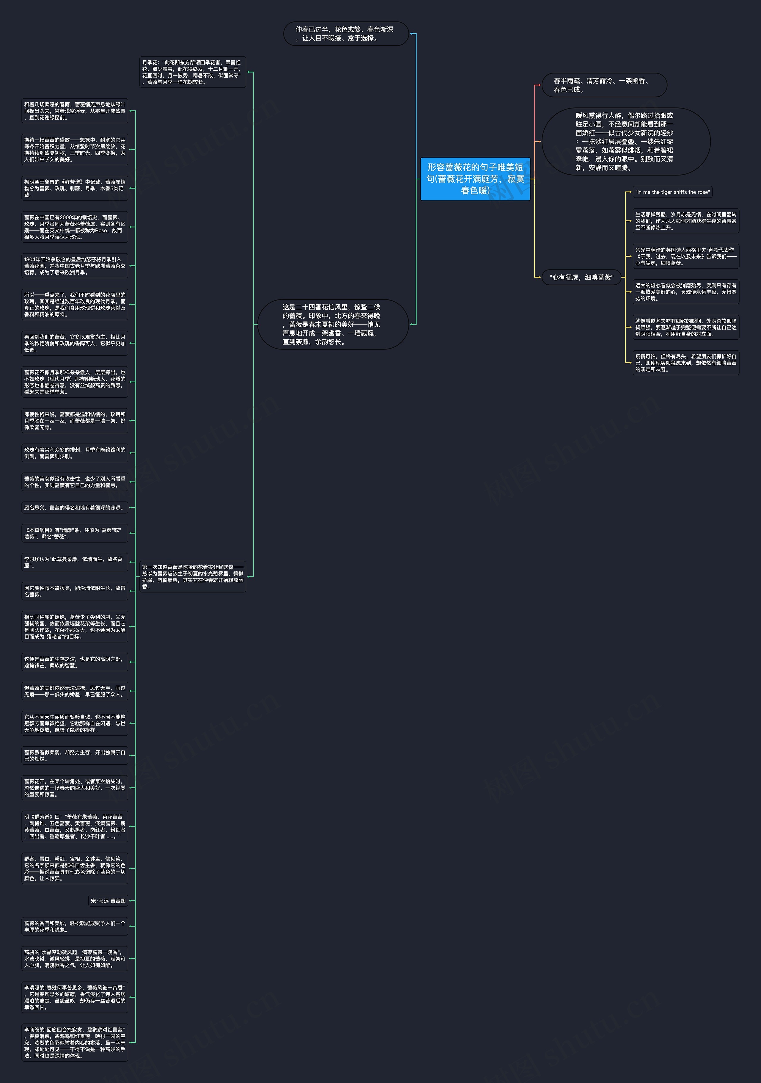 形容蔷薇花的句子唯美短句(蔷薇花开满庭芳，寂寞春色暖)思维导图