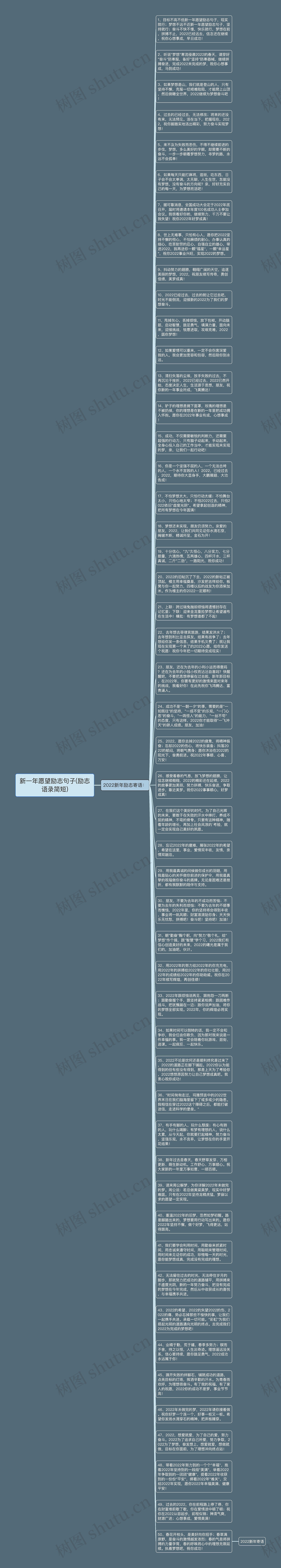 新一年愿望励志句子(励志语录简短)思维导图