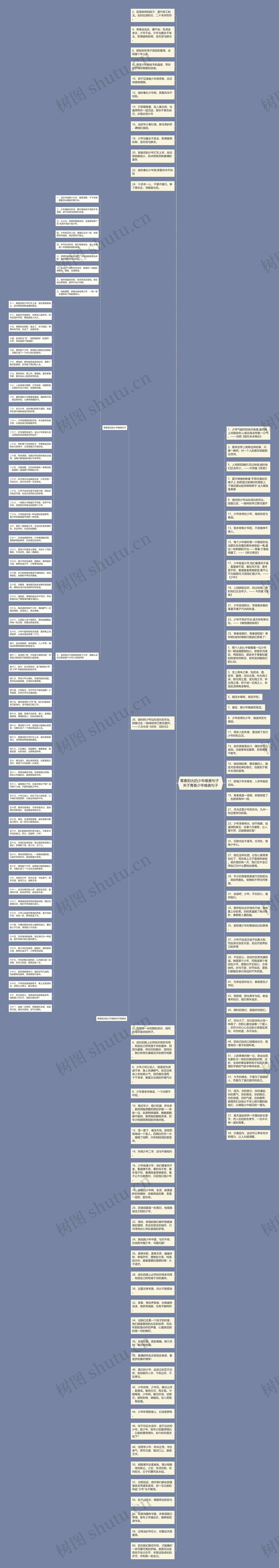 青春阳光的少年唯美句子  关于青春少年唯美句子思维导图