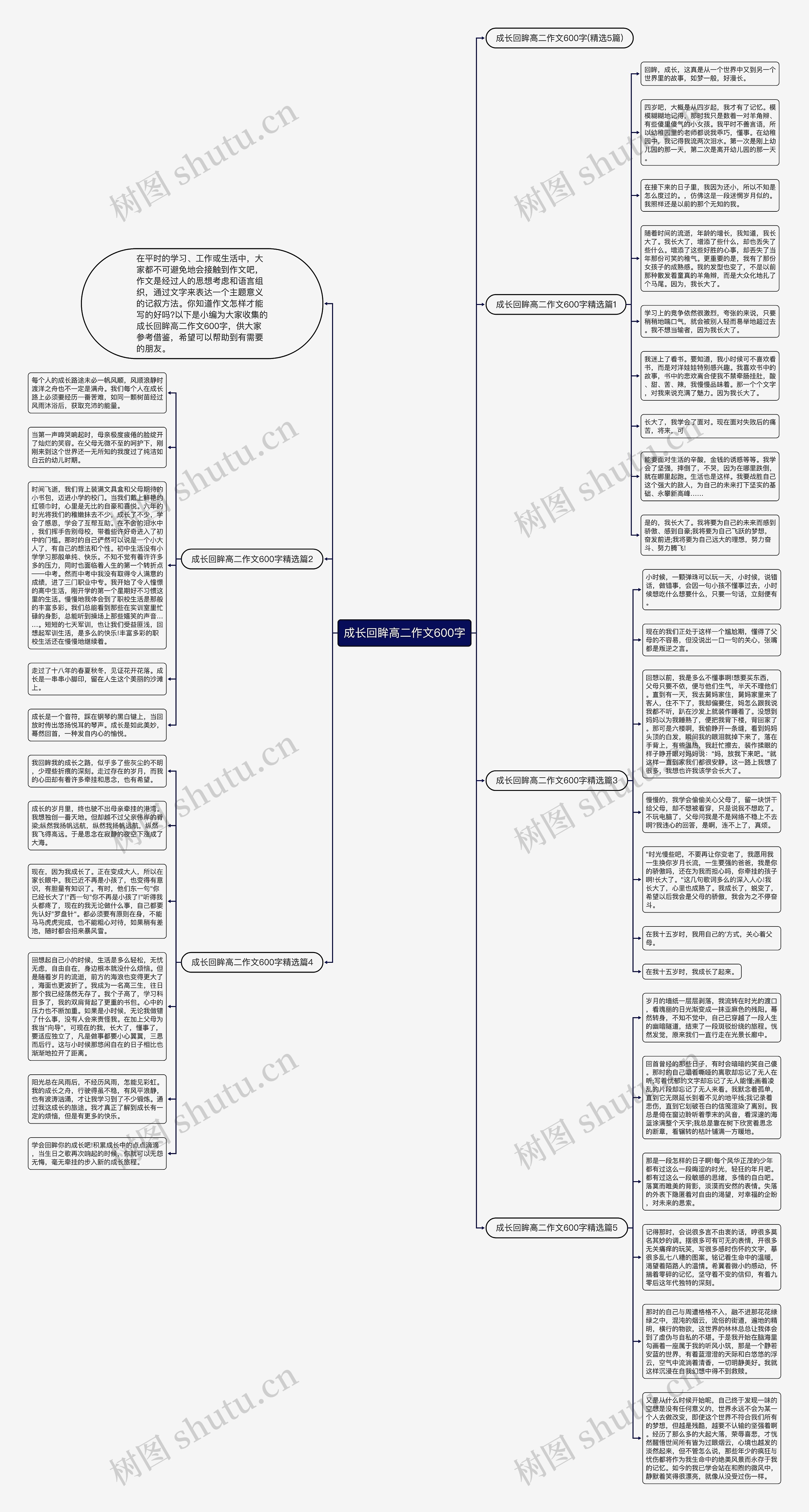 成长回眸高二作文600字思维导图