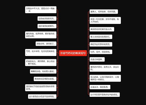 形容芍药花的唯美短句