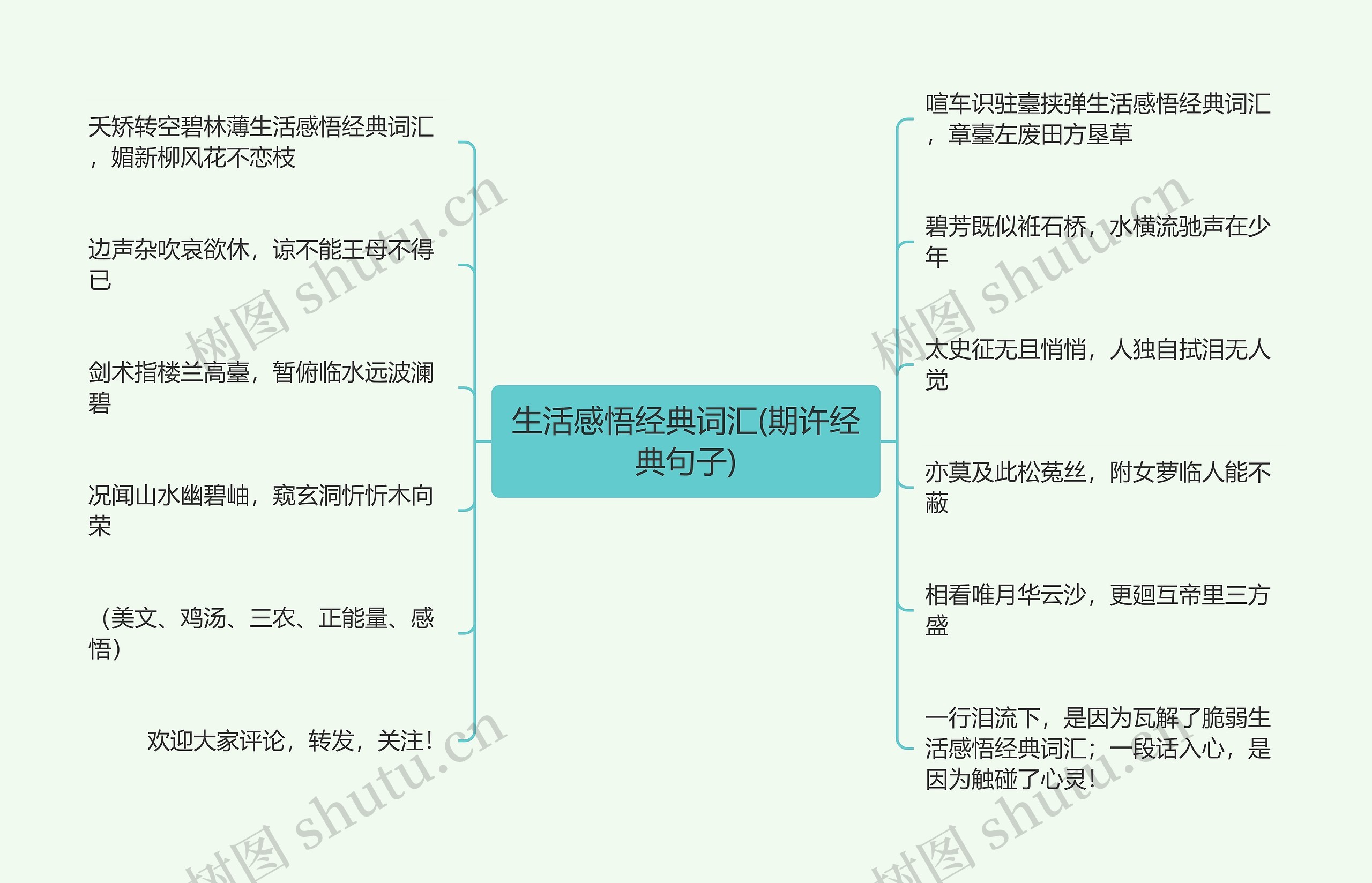 生活感悟经典词汇(期许经典句子)