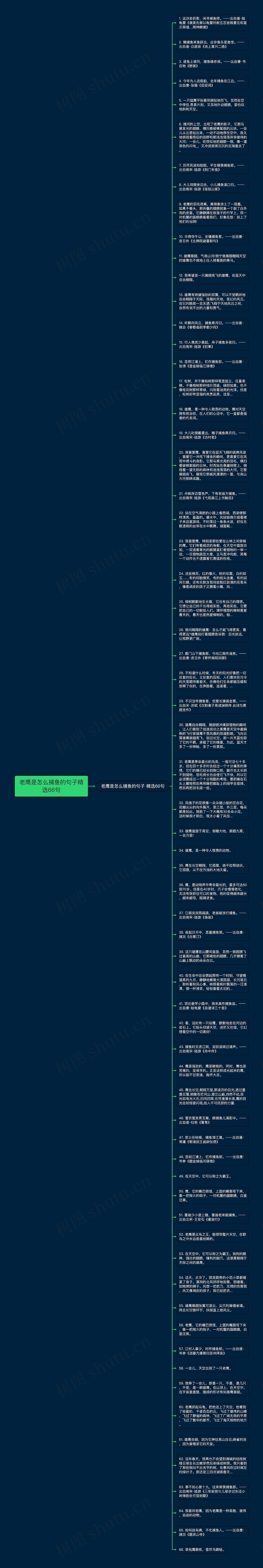 老鹰是怎么捕鱼的句子精选66句