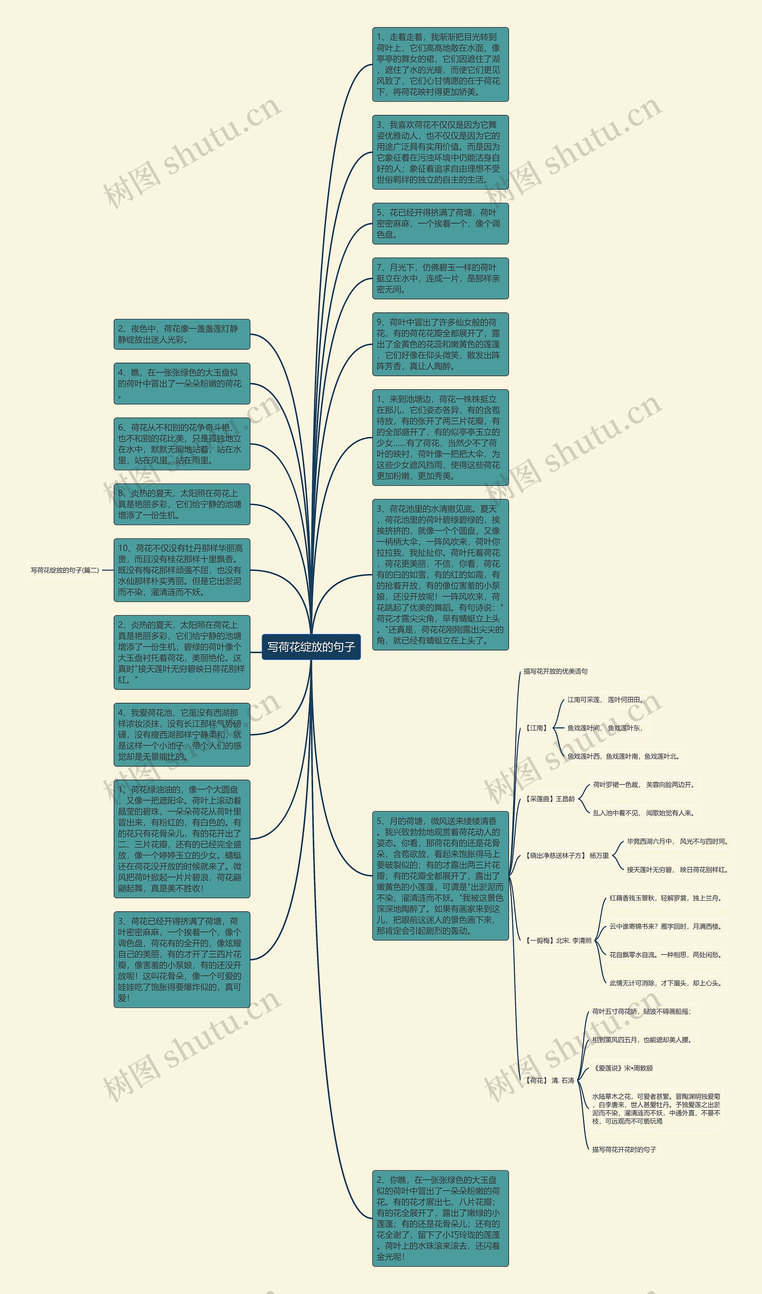 写荷花绽放的句子思维导图