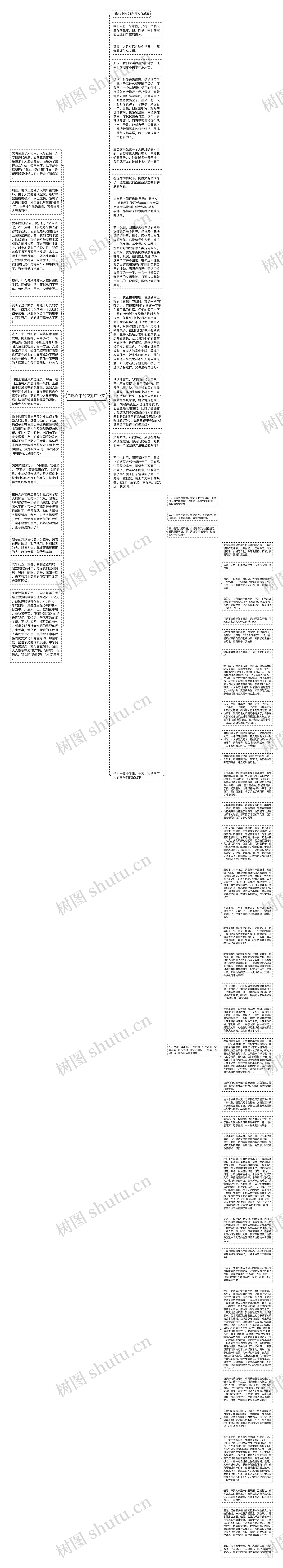 “我心中的文明”征文思维导图