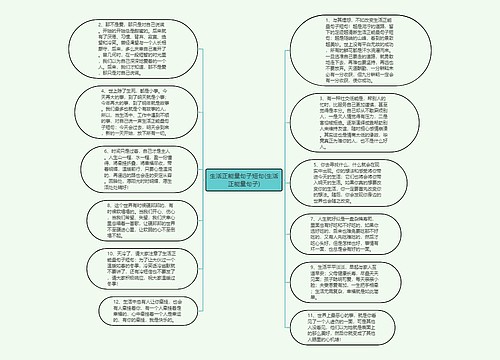 生活正能量句子短句(生活正能量句子)