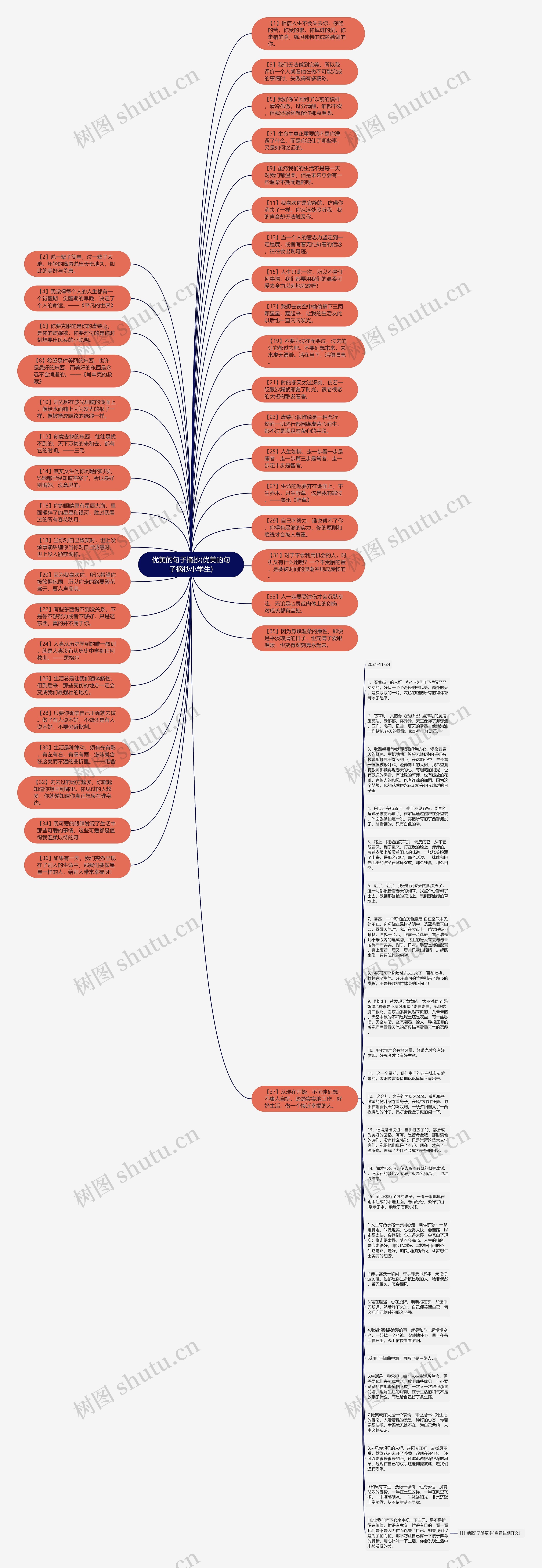 优美的句子摘抄(优美的句子摘抄小学生)思维导图