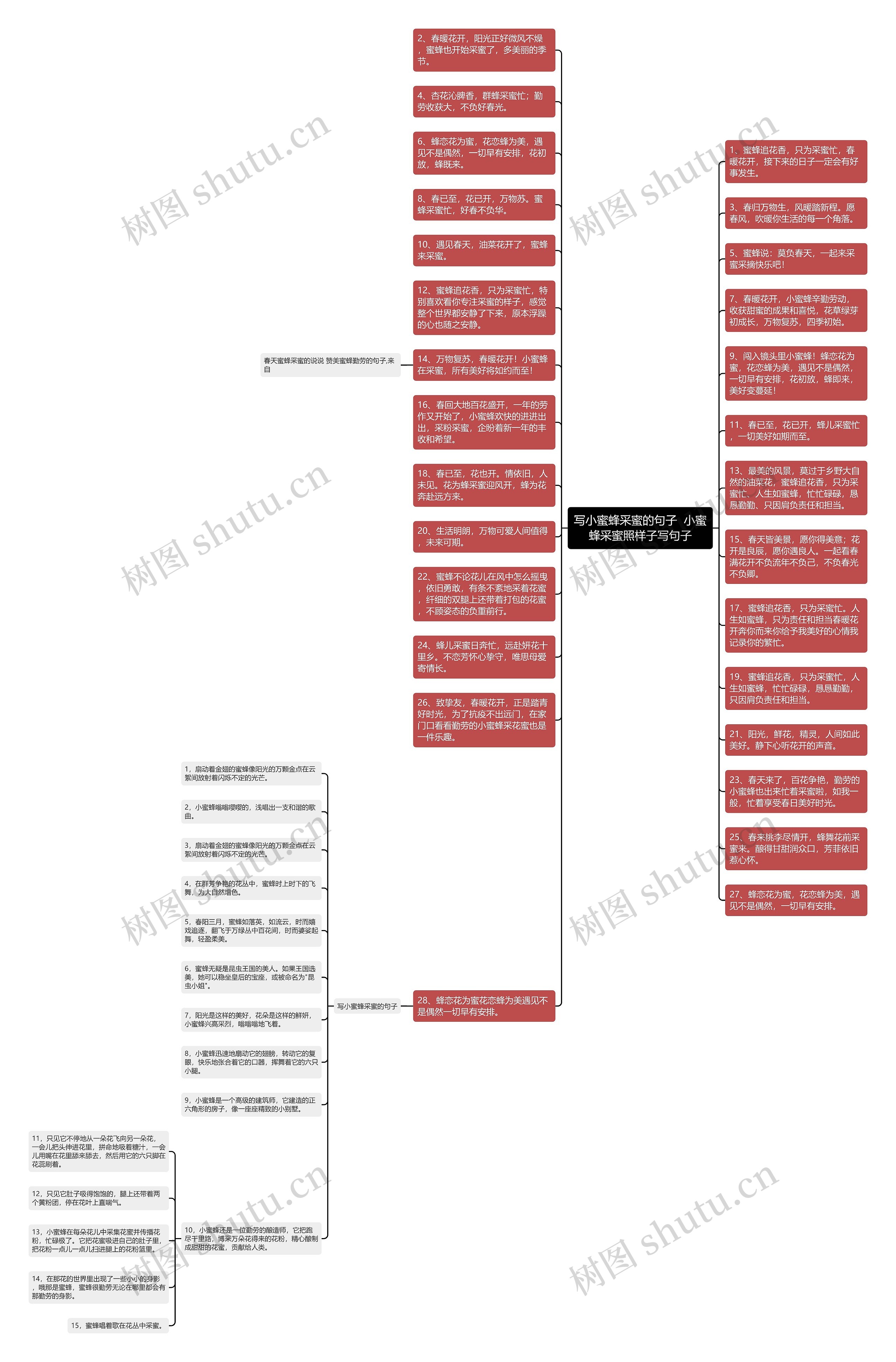 写小蜜蜂采蜜的句子  小蜜蜂采蜜照样子写句子思维导图