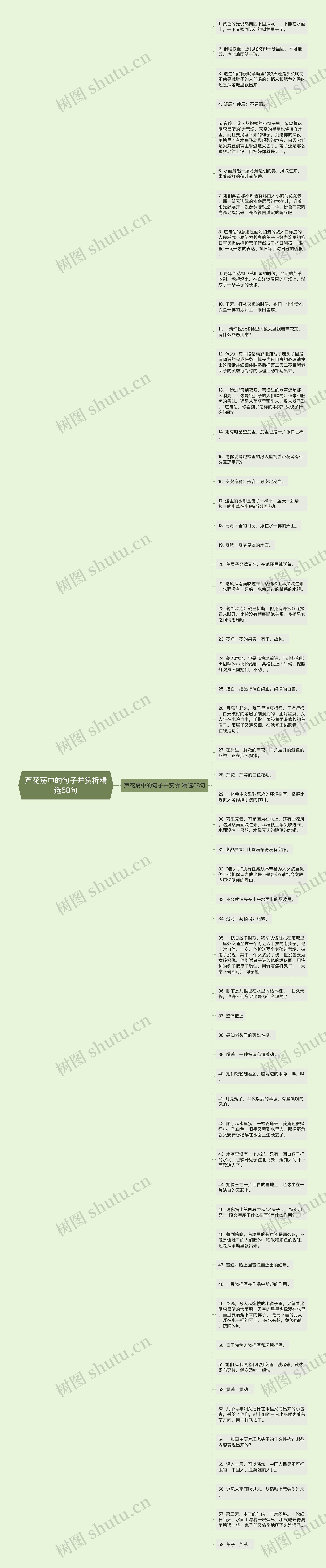 芦花荡中的句子并赏析精选58句思维导图