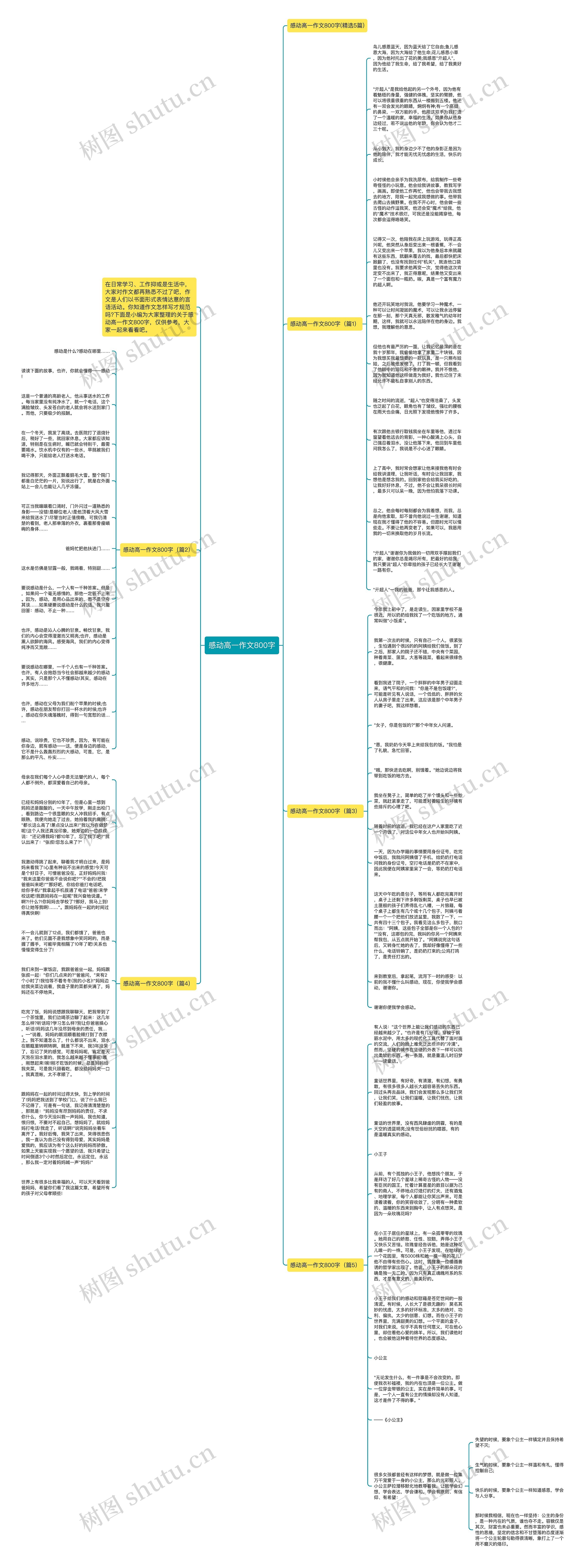 感动高一作文800字思维导图