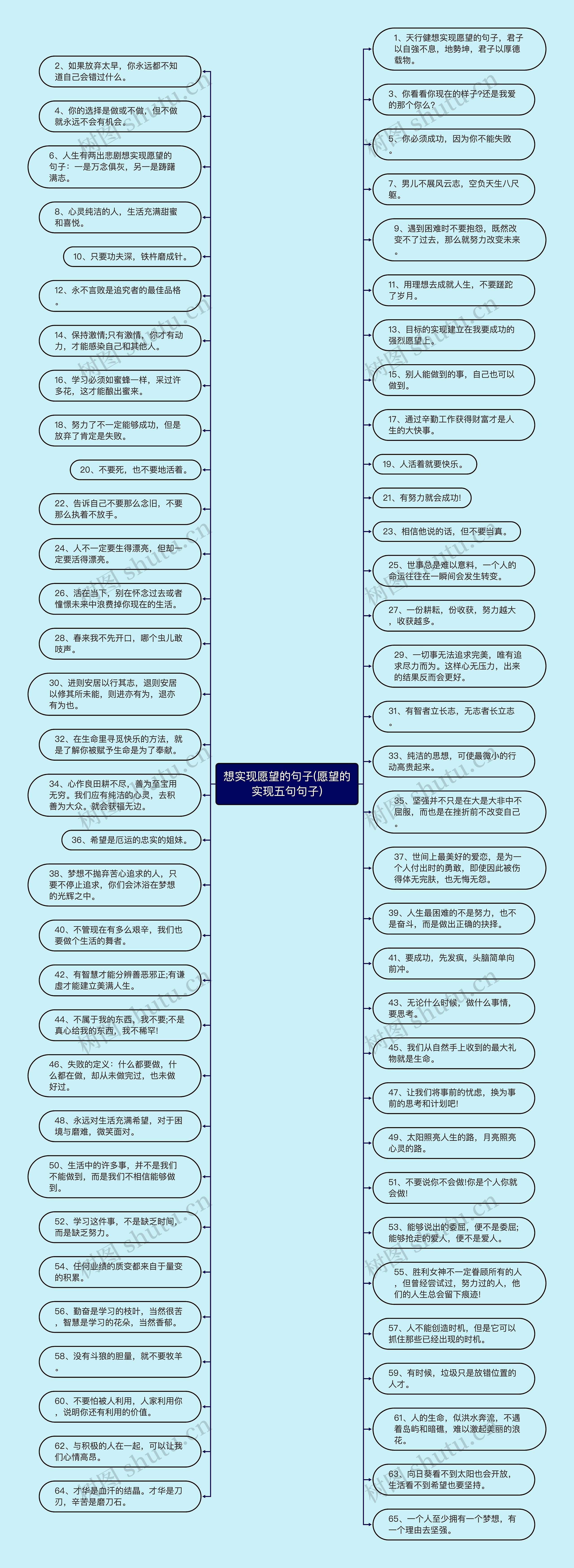 想实现愿望的句子(愿望的实现五句句子)