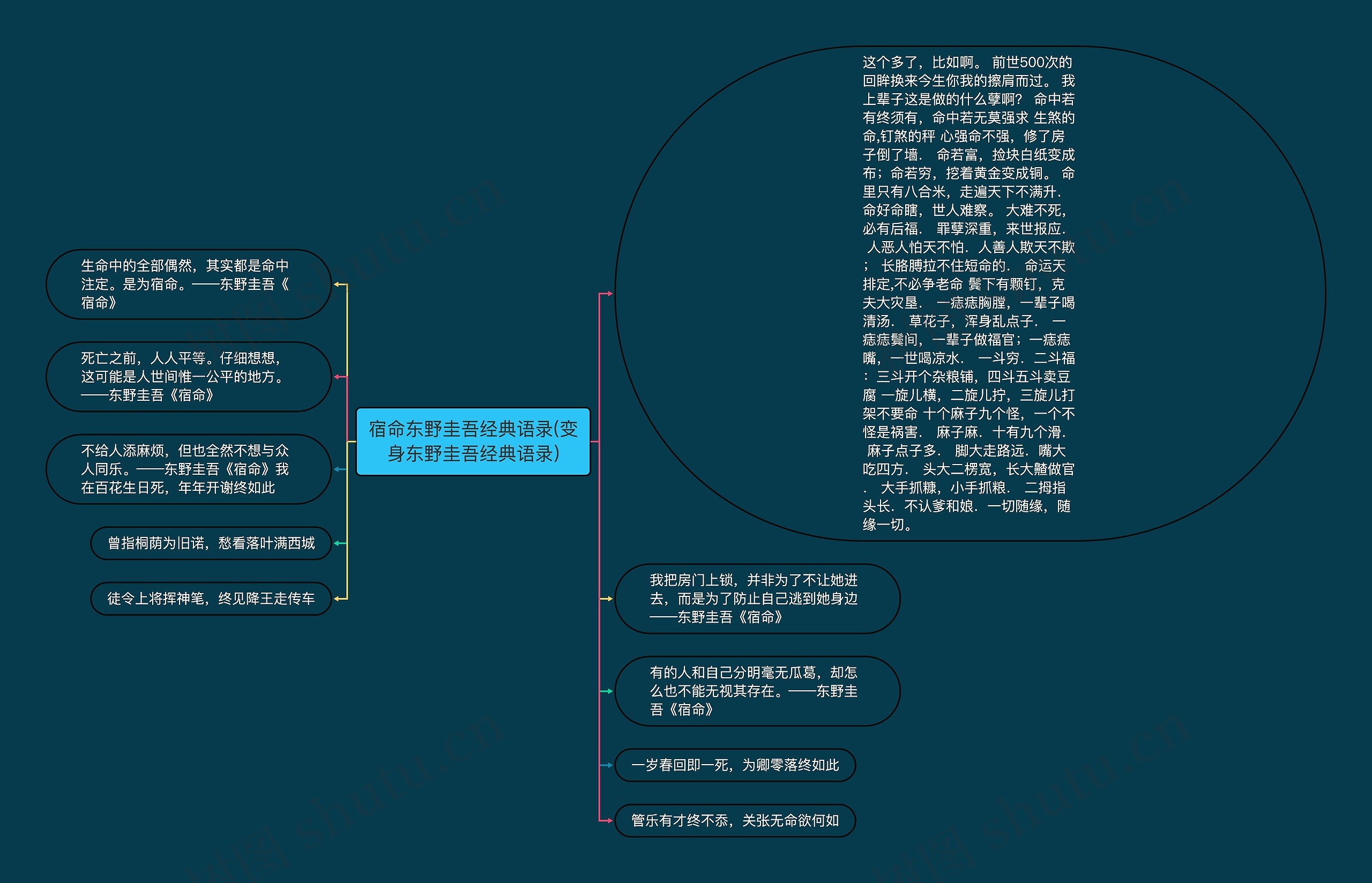 宿命东野圭吾经典语录(变身东野圭吾经典语录)思维导图