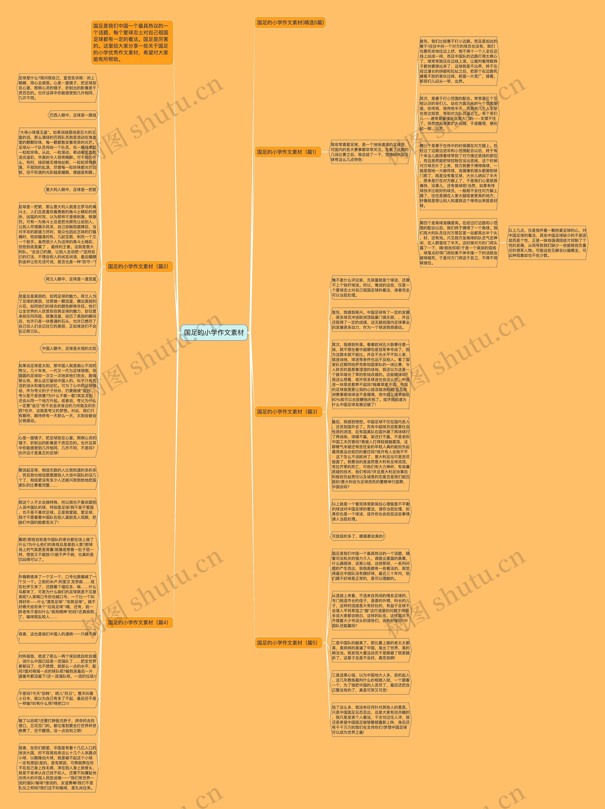 国足的小学作文素材