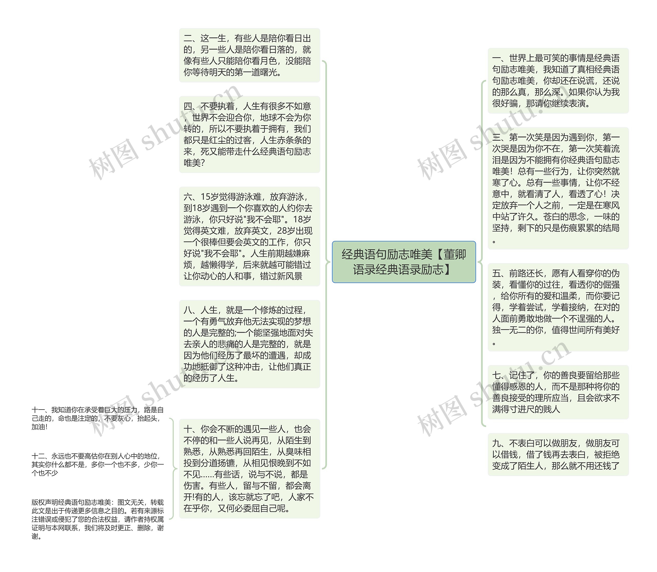 经典语句励志唯美【董卿语录经典语录励志】