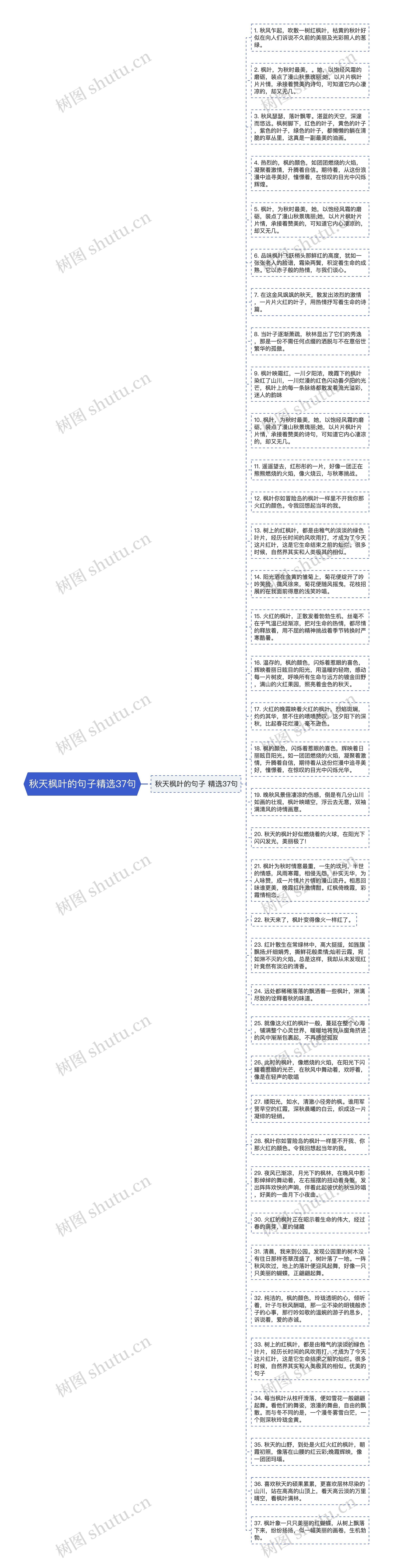 秋天枫叶的句子精选37句