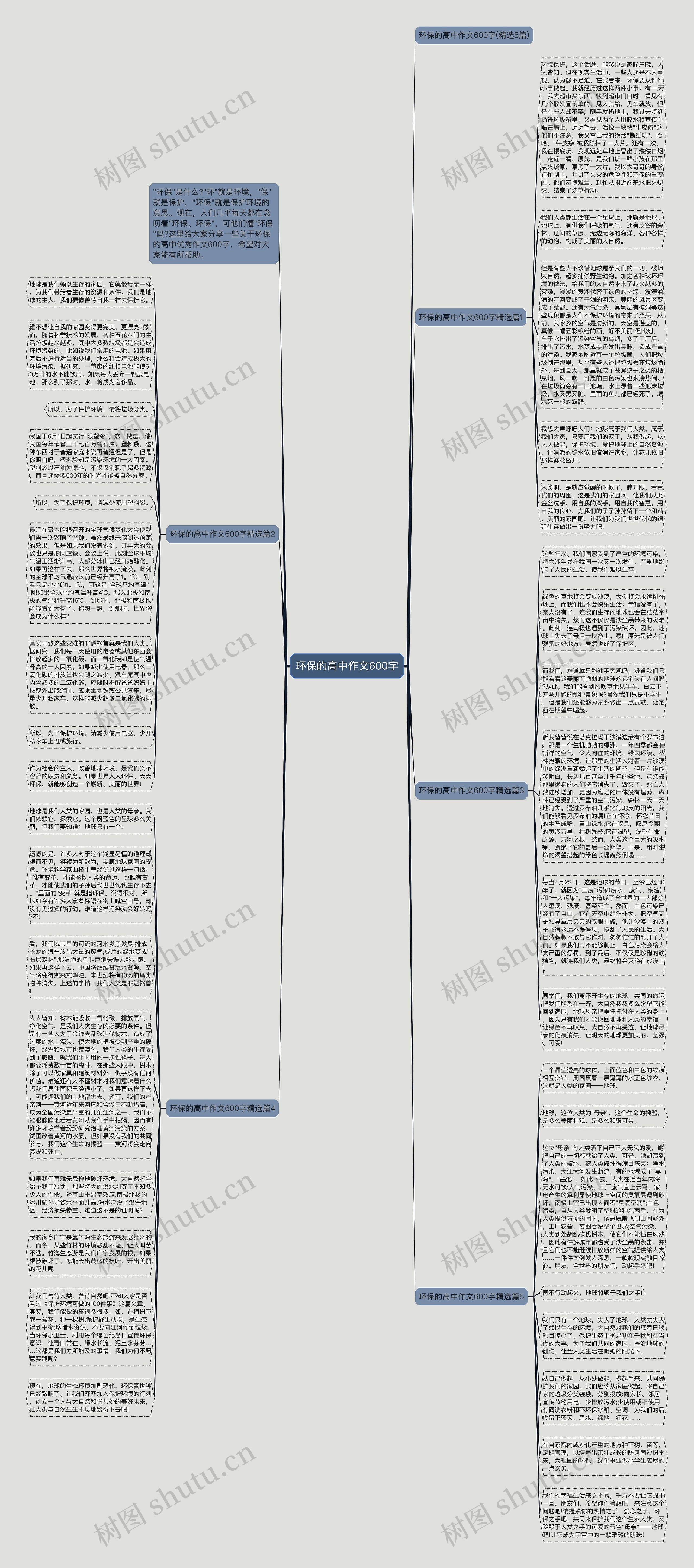 环保的高中作文600字思维导图