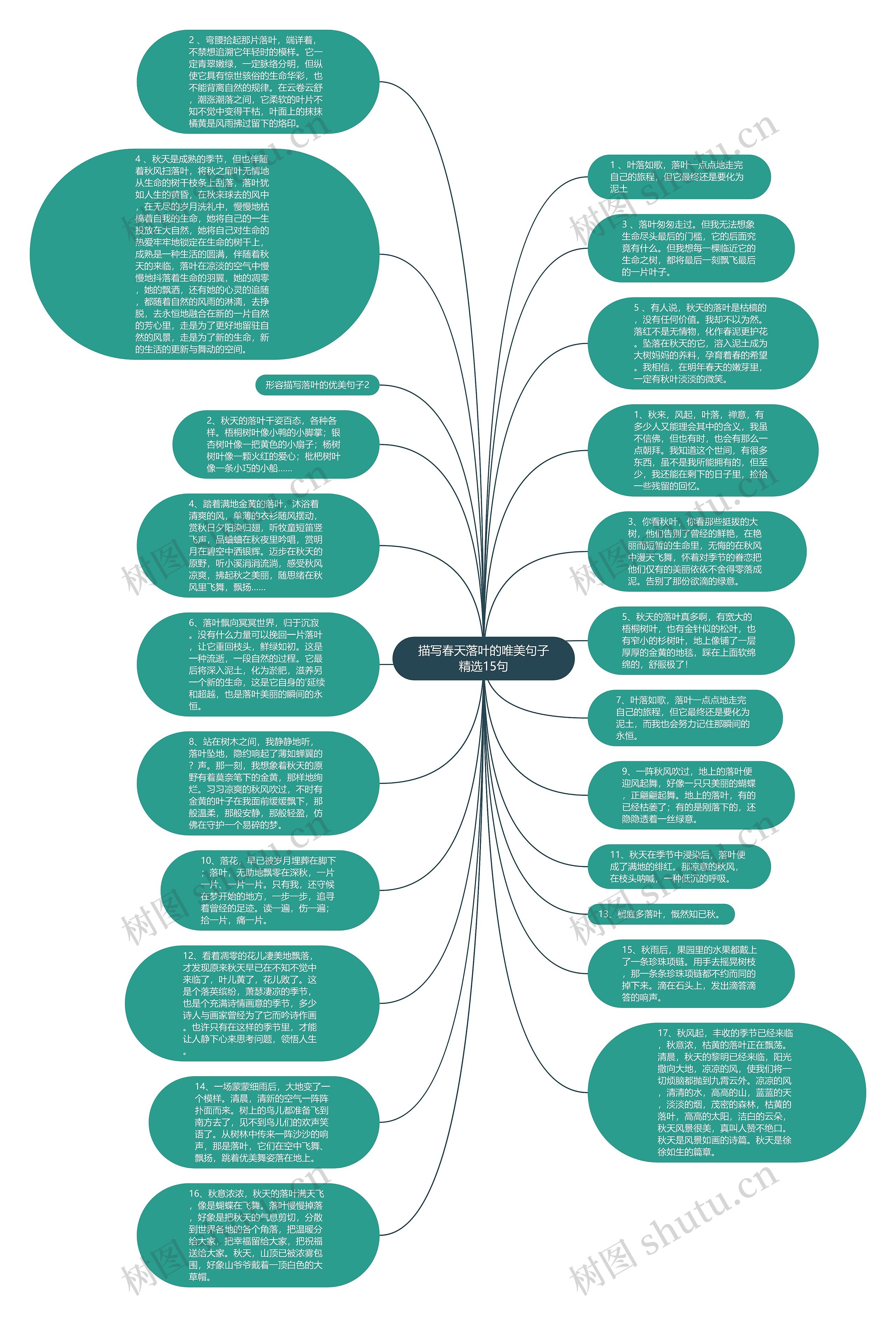 描写春天落叶的唯美句子精选15句思维导图