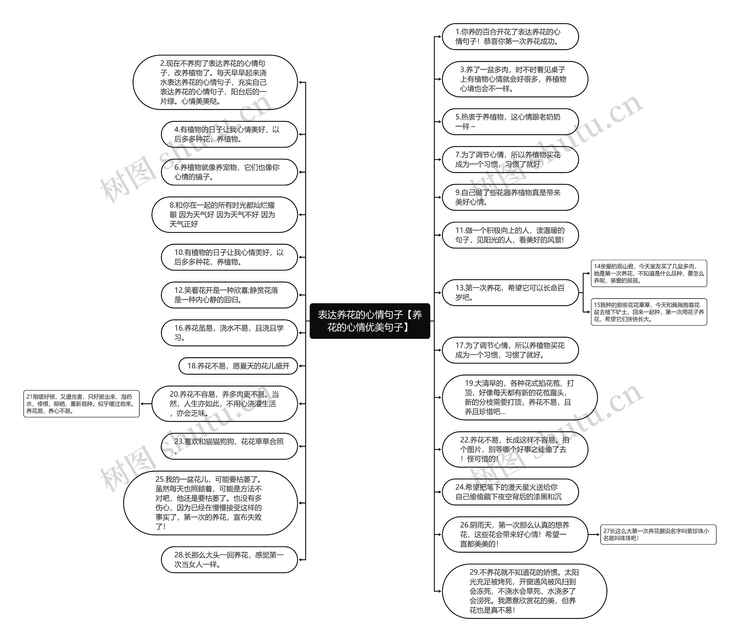 表达养花的心情句子【养花的心情优美句子】思维导图