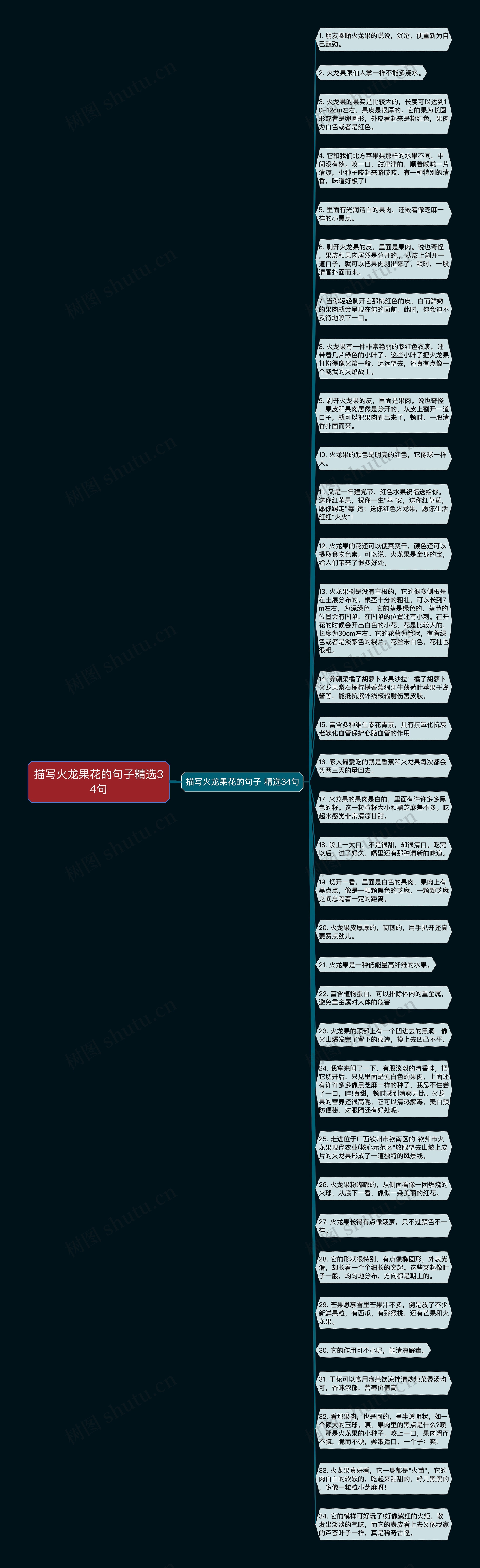 描写火龙果花的句子精选34句思维导图