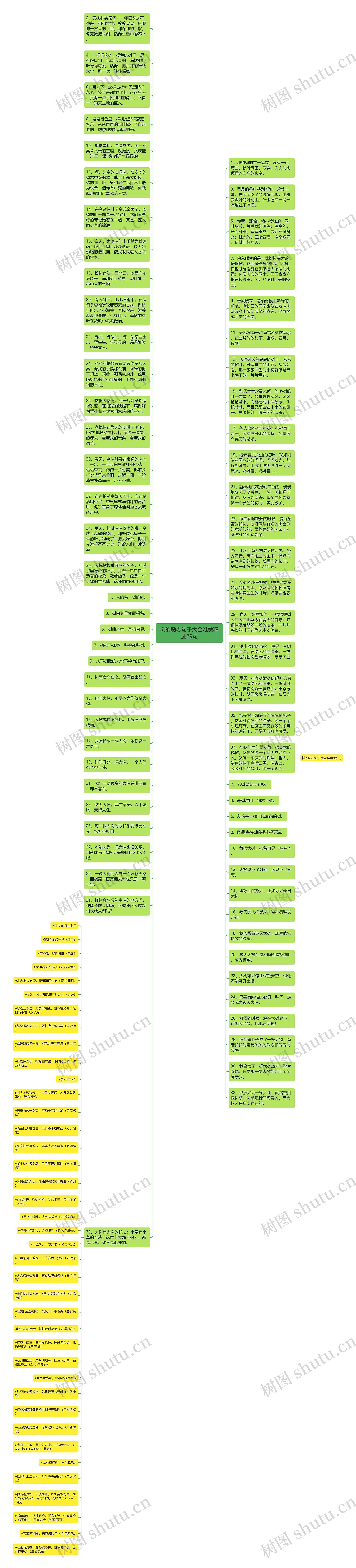 树的励志句子大全唯美精选29句思维导图