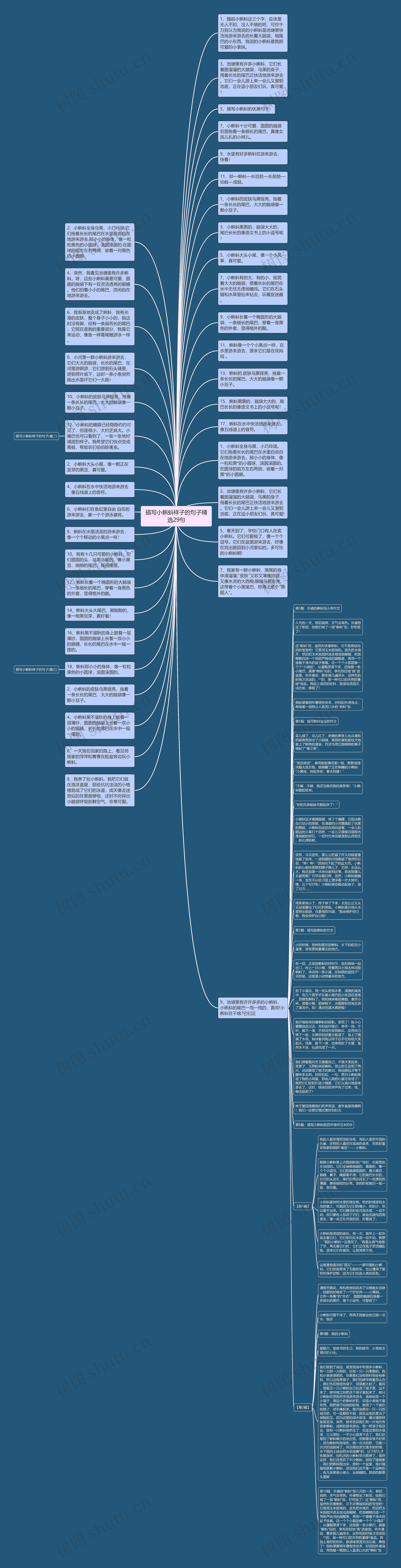 描写小蝌蚪样子的句子精选29句思维导图