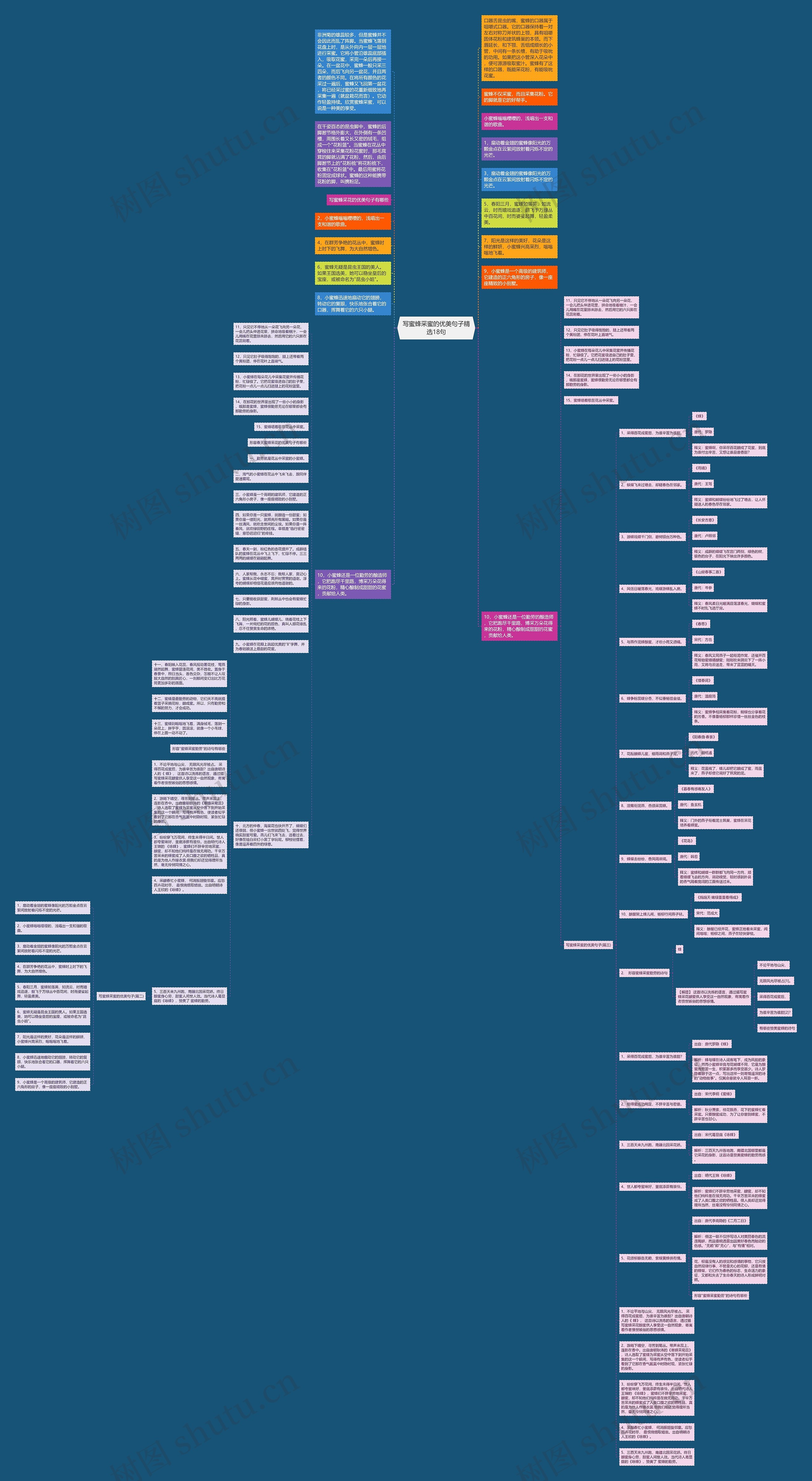 写蜜蜂采蜜的优美句子精选18句思维导图