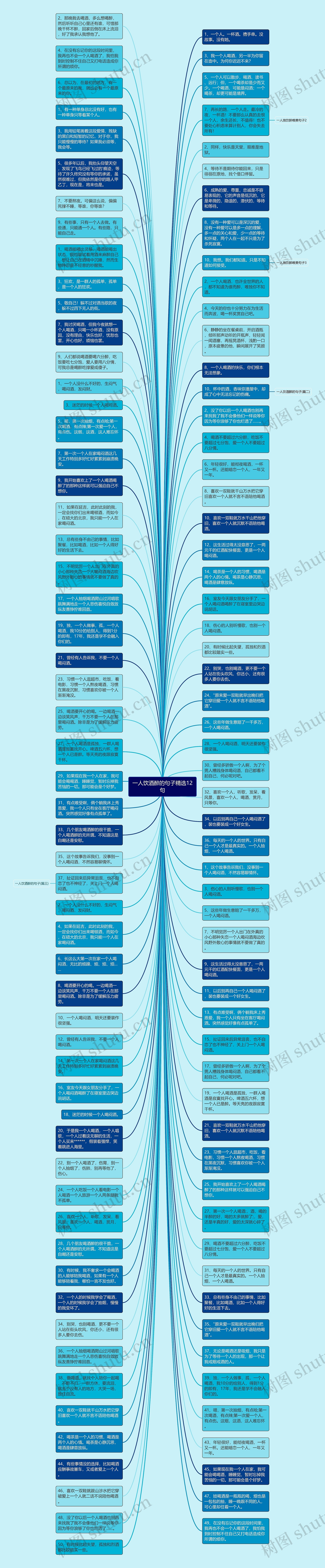 一人饮酒醉的句子精选12句思维导图