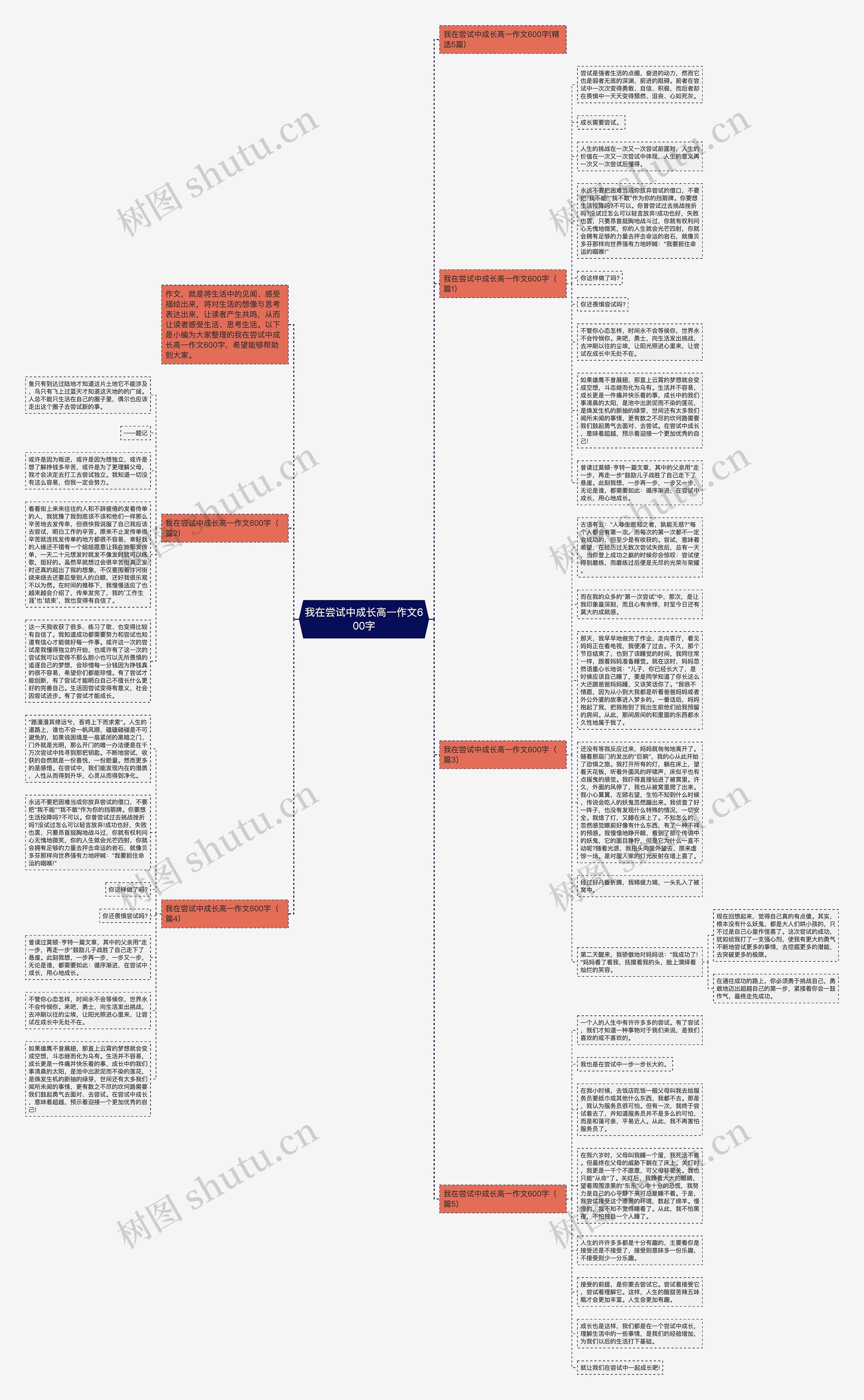 我在尝试中成长高一作文600字思维导图