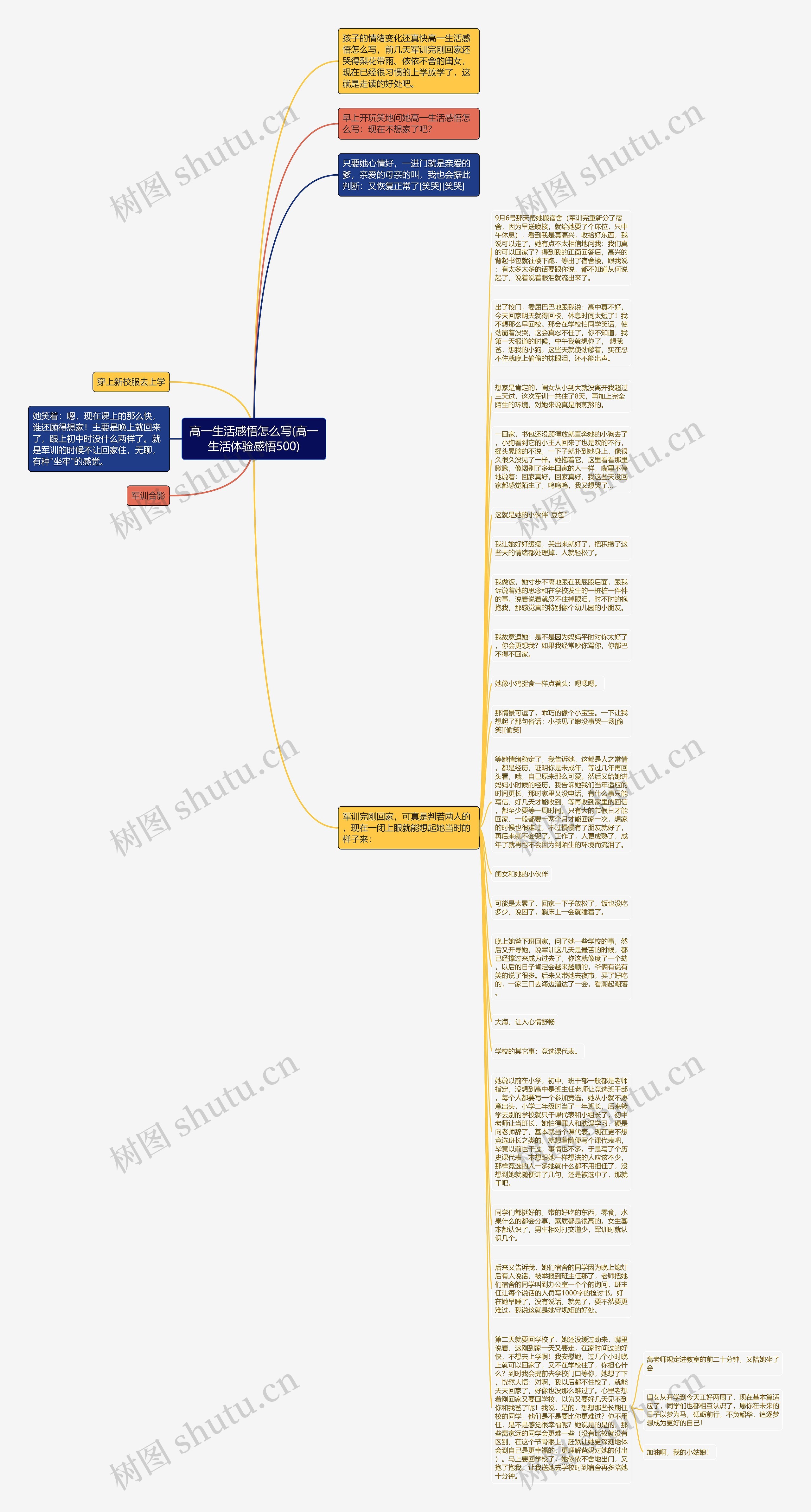 高一生活感悟怎么写(高一生活体验感悟500)思维导图