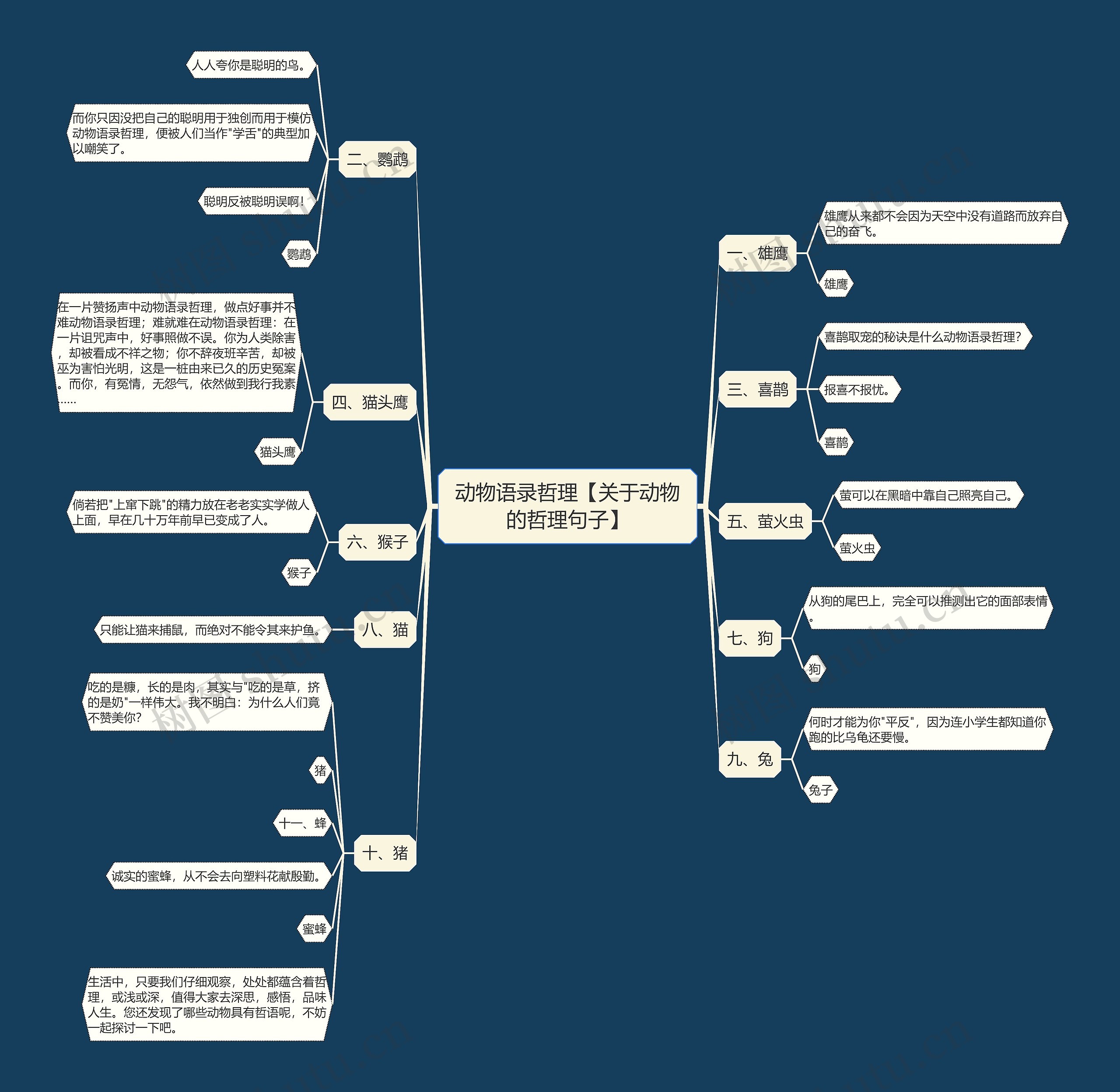 动物语录哲理【关于动物的哲理句子】 动物语录哲理【关于动物的哲理句子】