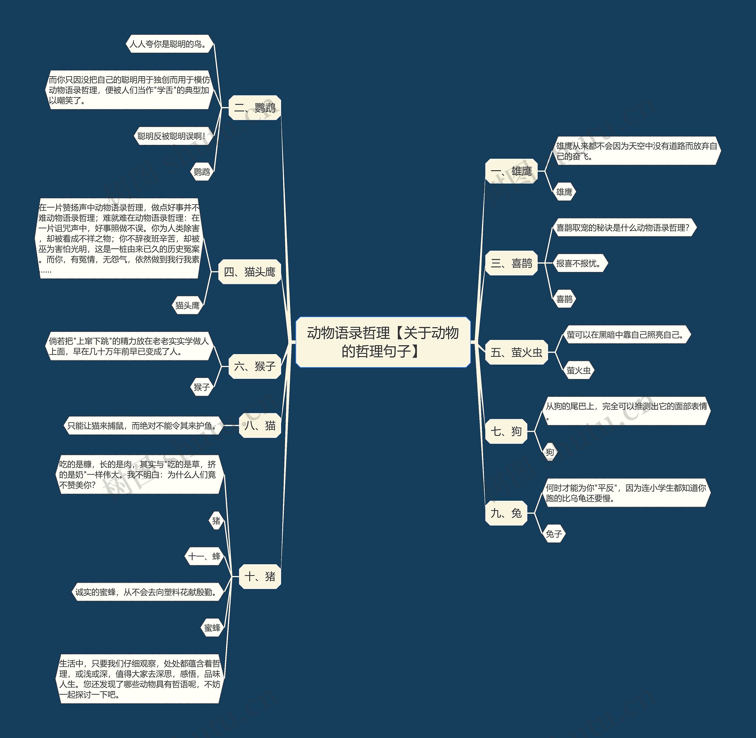 动物语录哲理【关于动物的哲理句子】思维导图