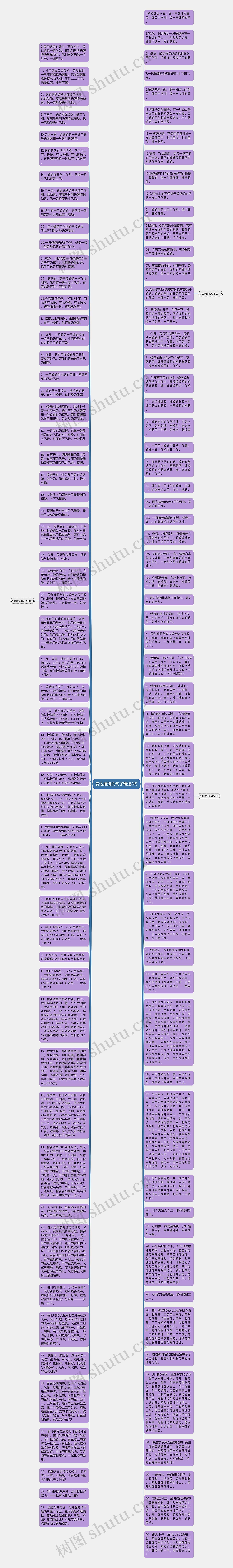 表达蜻蜓的句子精选8句思维导图