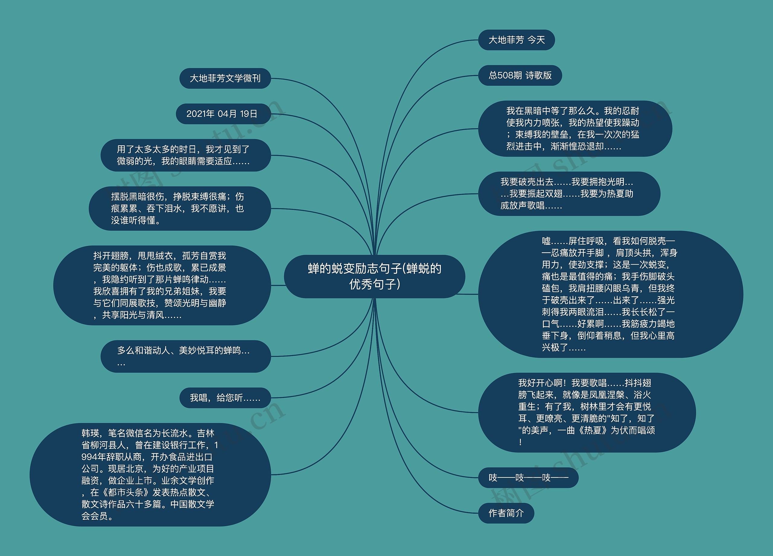 蝉的蜕变励志句子(蝉蜕的优秀句子)