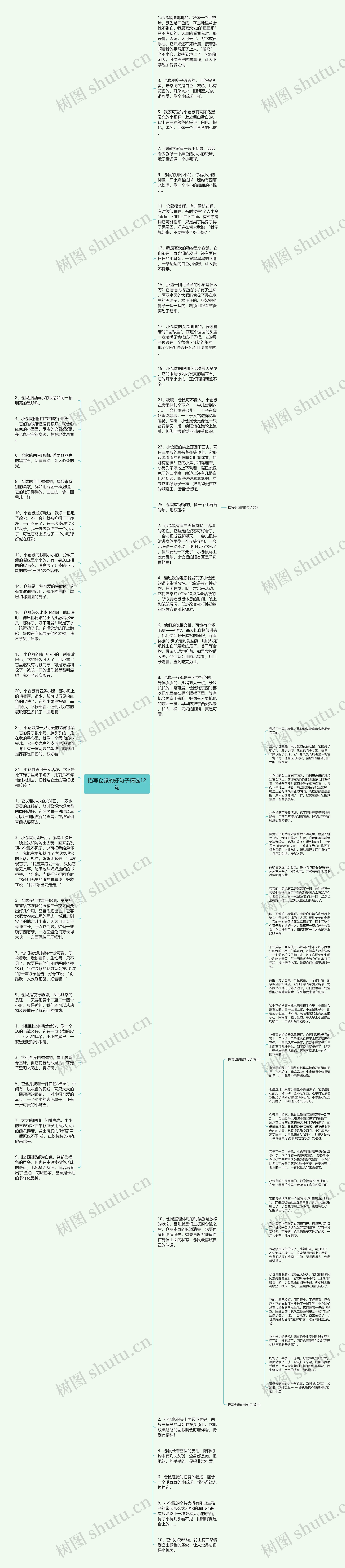 描写仓鼠的好句子精选12句思维导图