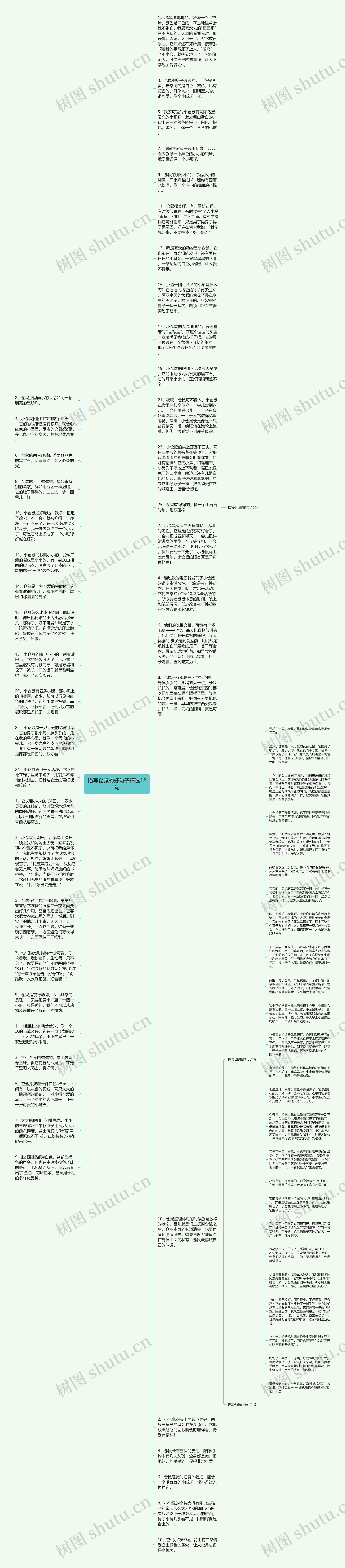 描写仓鼠的好句子精选12句思维导图高清图 描写仓鼠的好句子精选12句思维导图