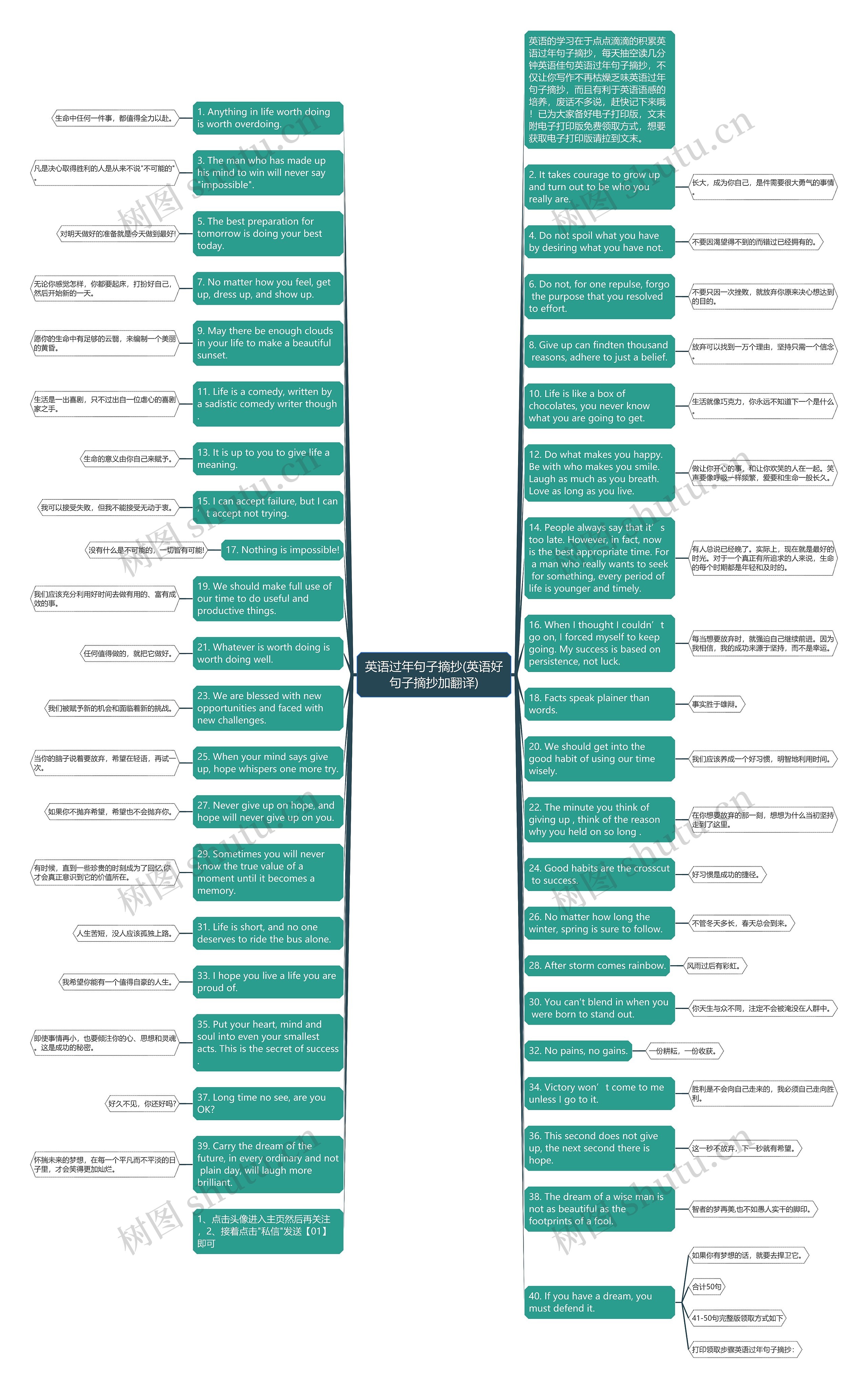 英语过年句子摘抄(英语好句子摘抄加翻译)思维导图