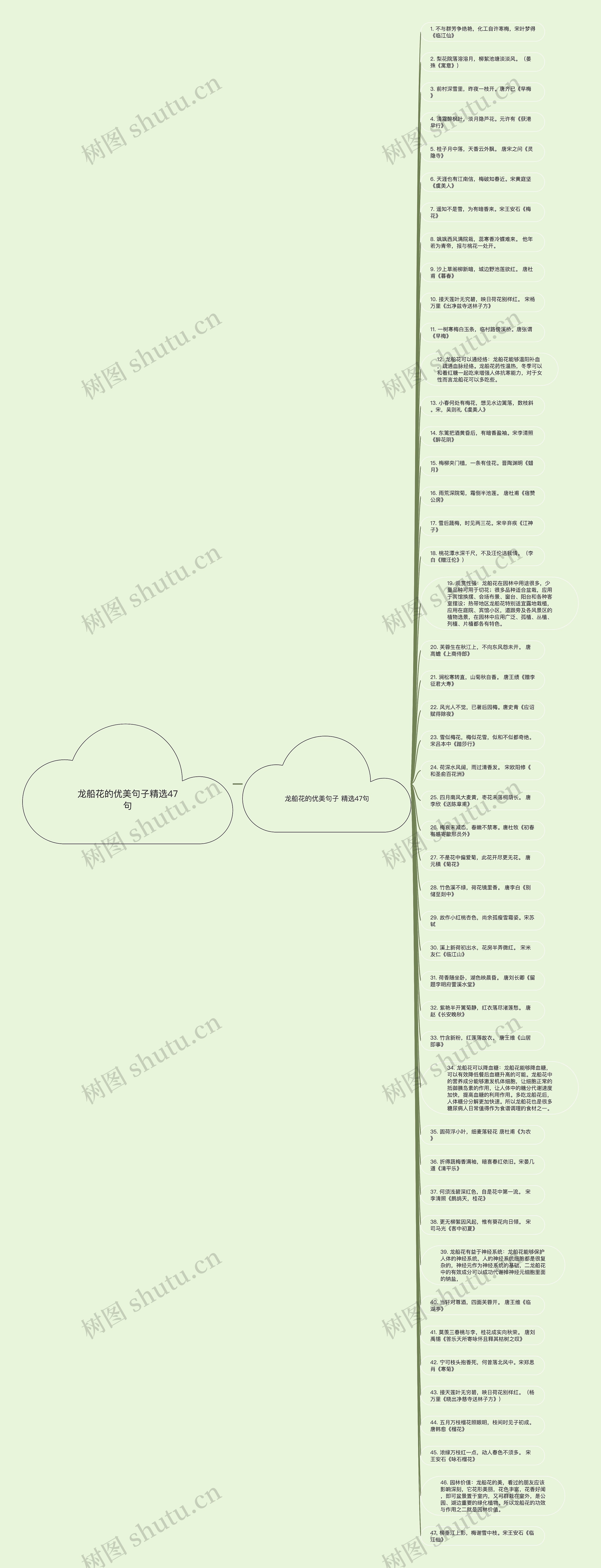龙船花的优美句子精选47句思维导图